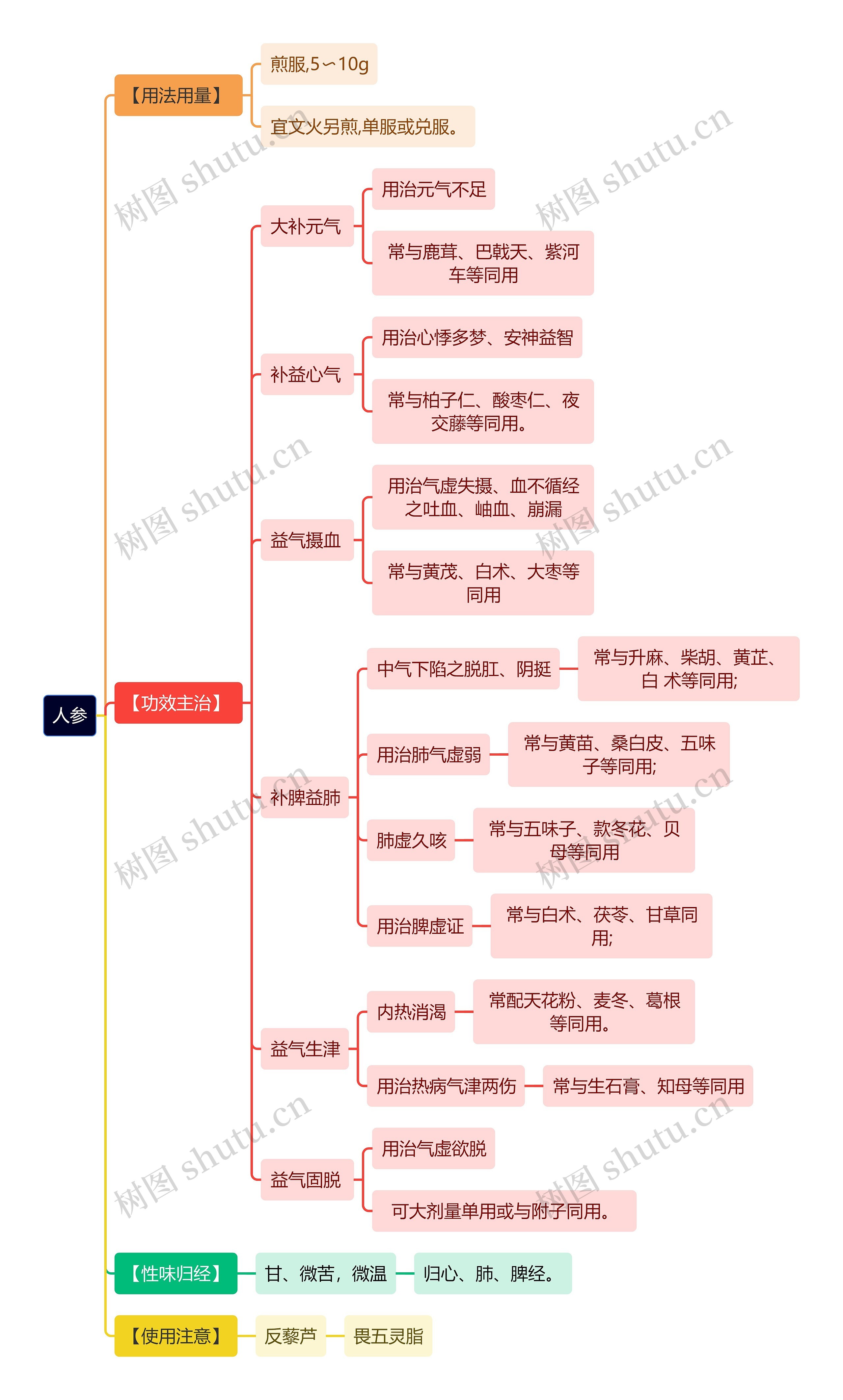 中医知识人参思维导图