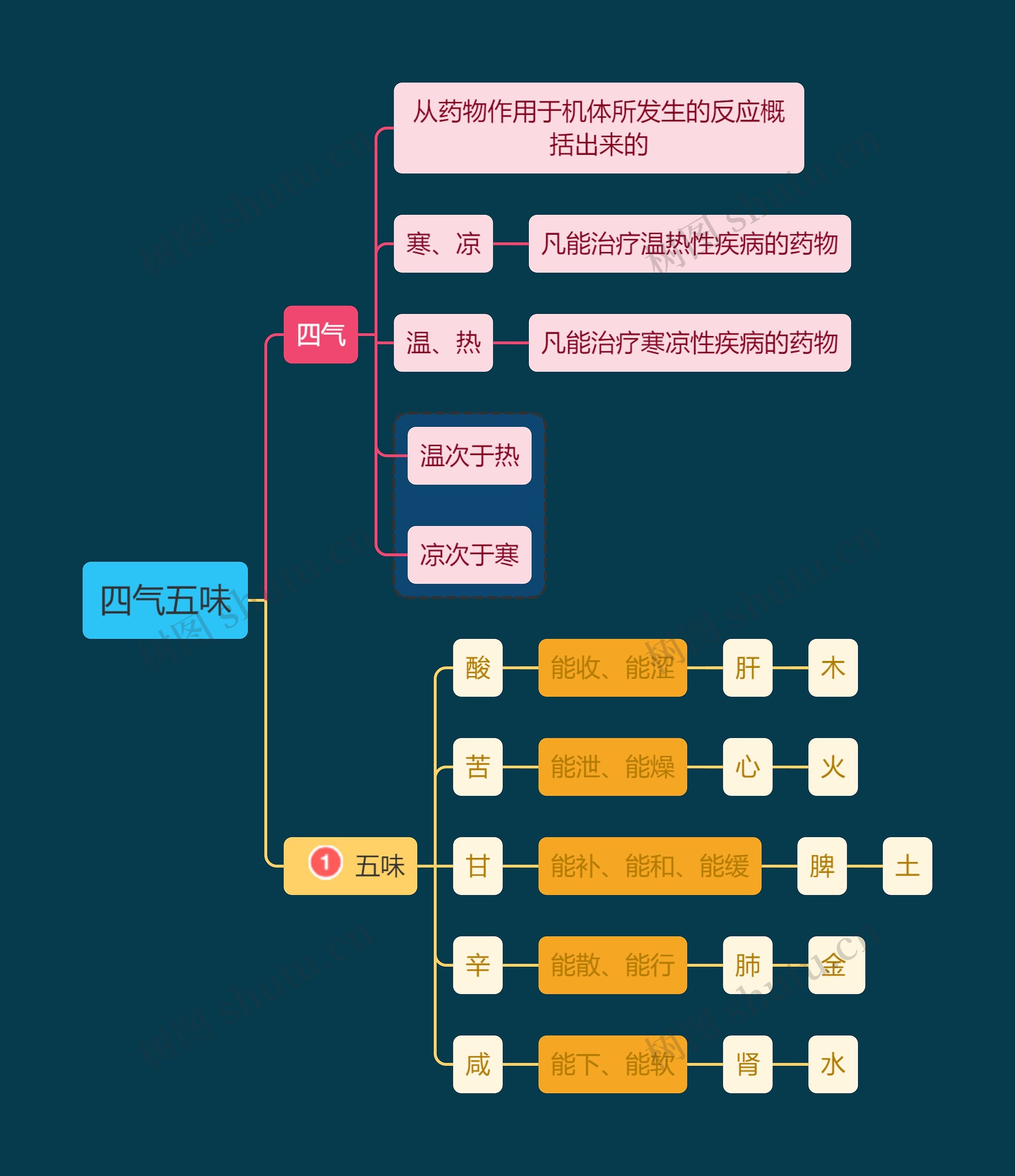 医学知识中医四气五味思维导图