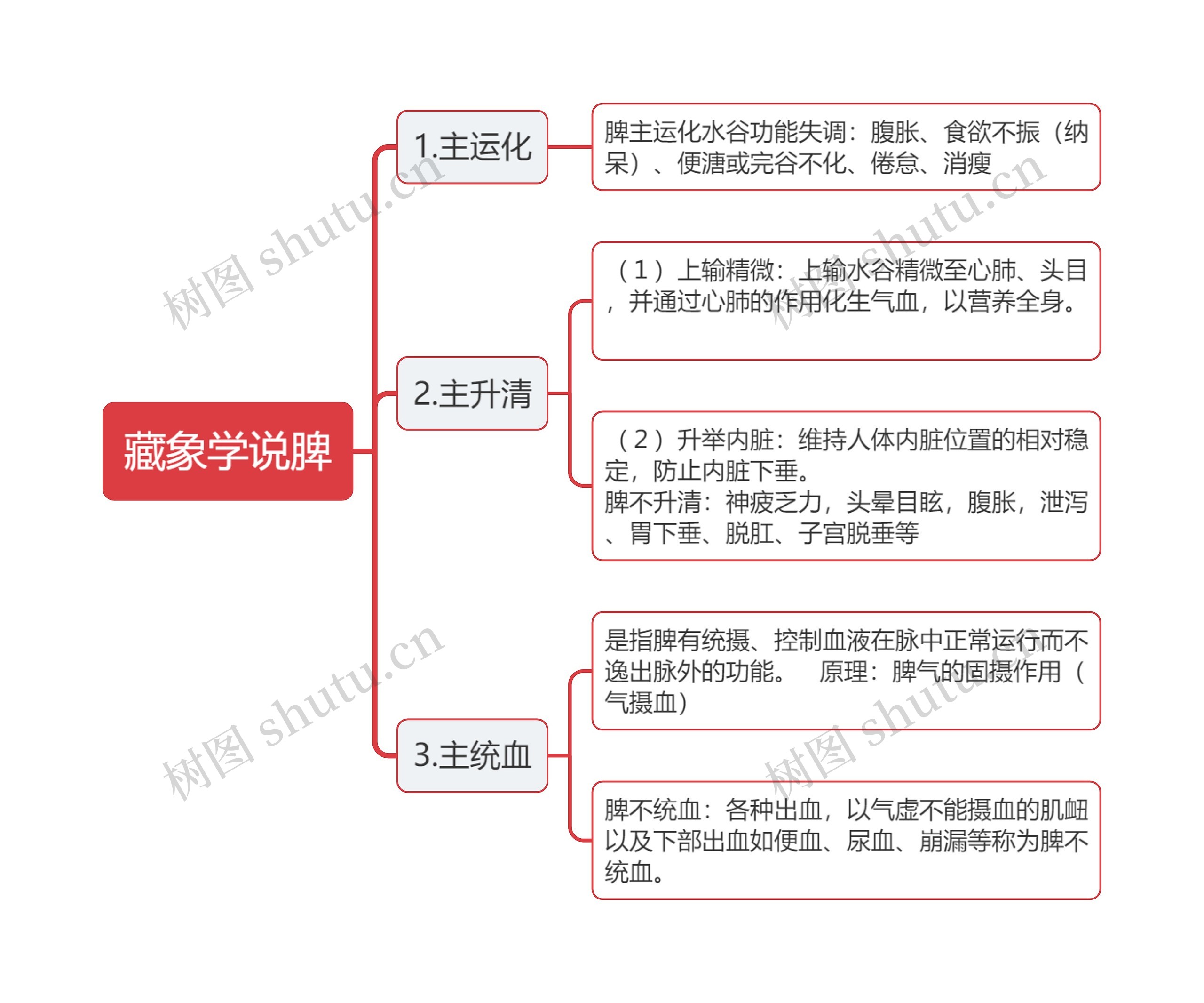 藏象学说脾思维导图高清图 藏象学说脾思维导图
