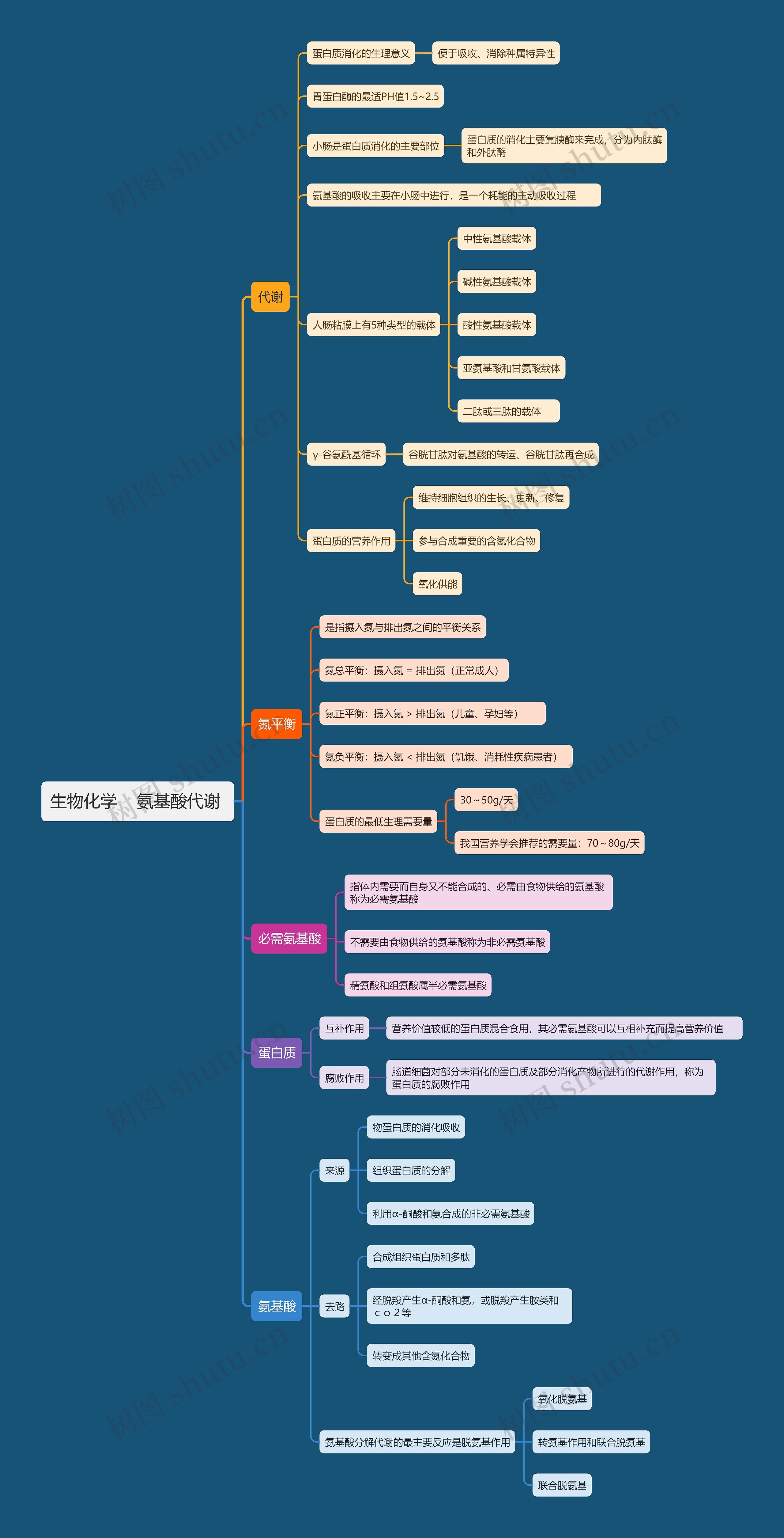 生物化学知识点     氨基酸代谢 思维导图
