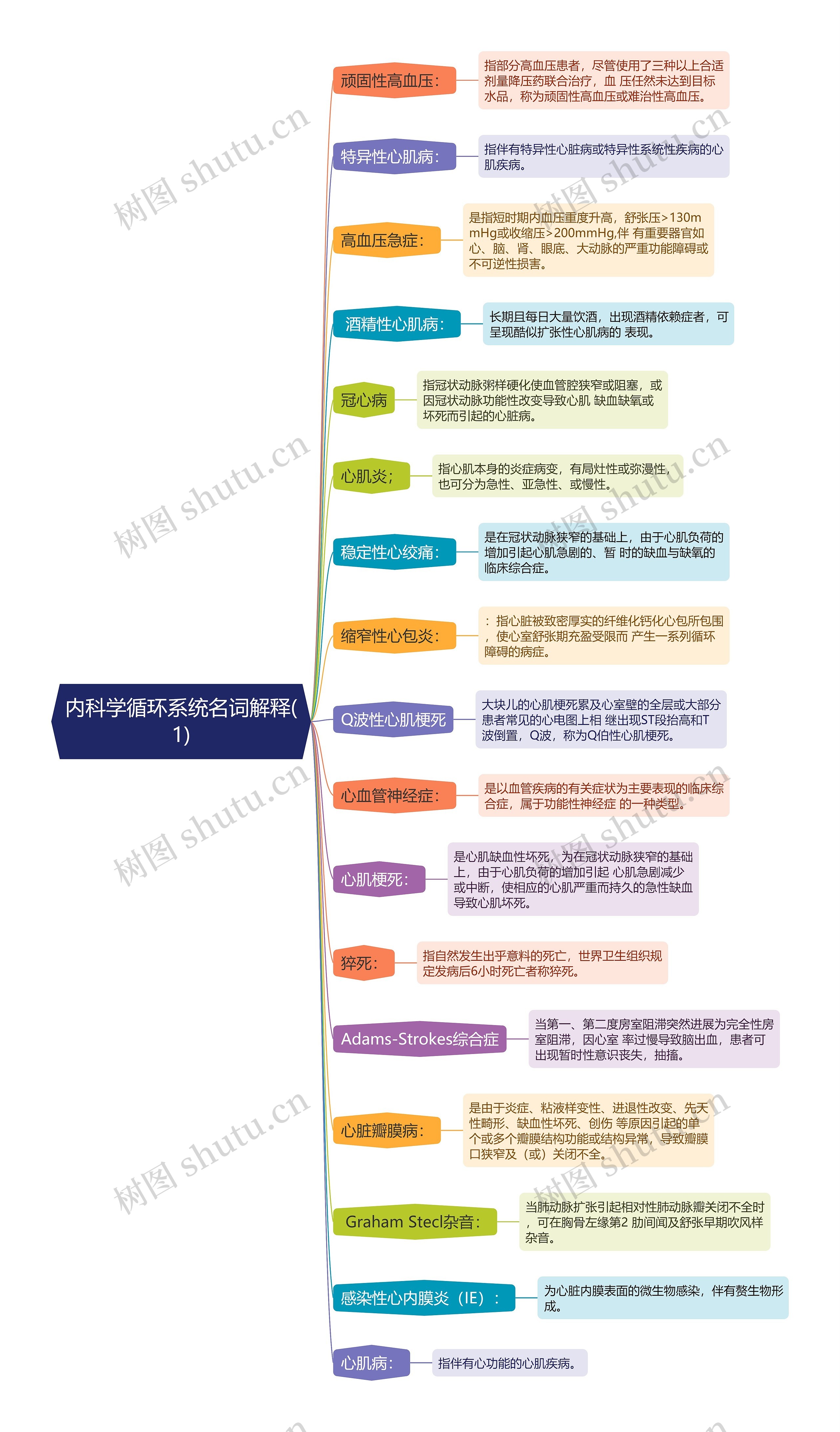 内科学循环系统名词解释（2）