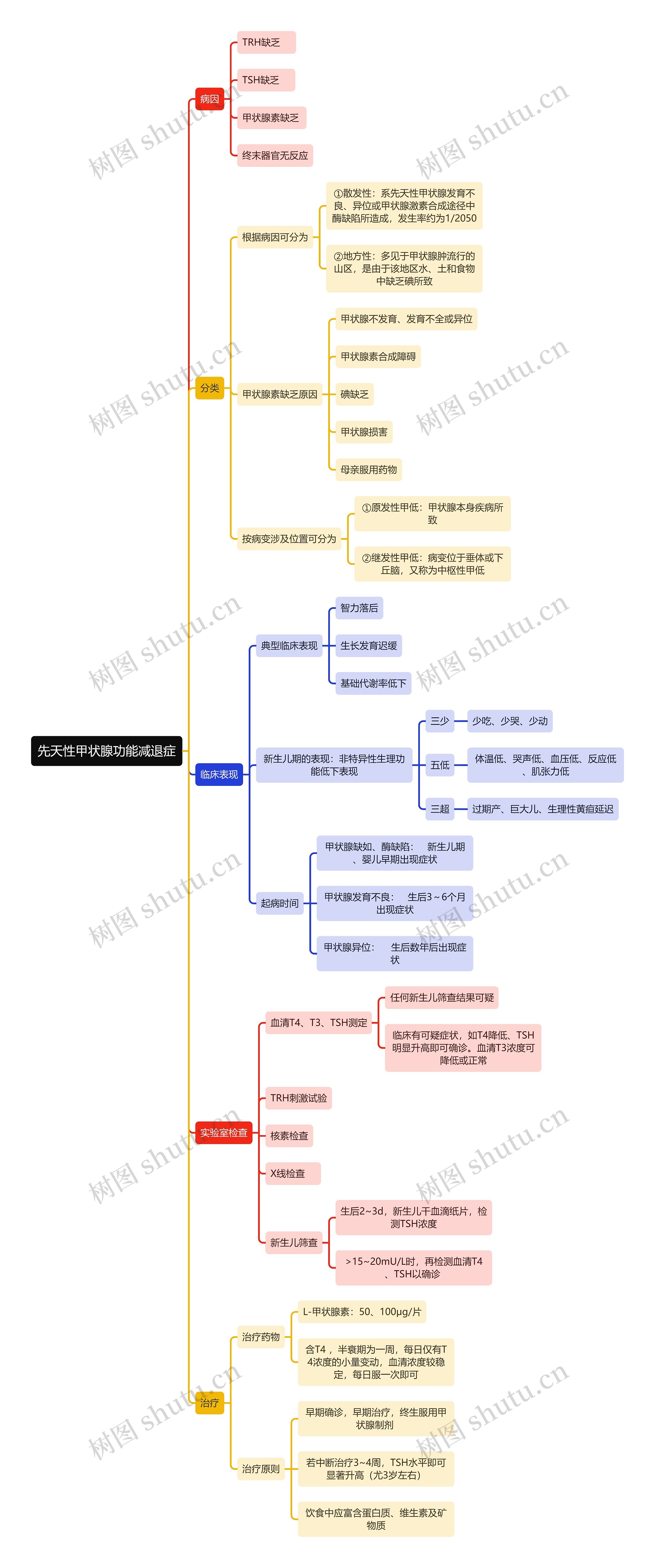 医学知识先天性甲状腺功能减退症思维导图