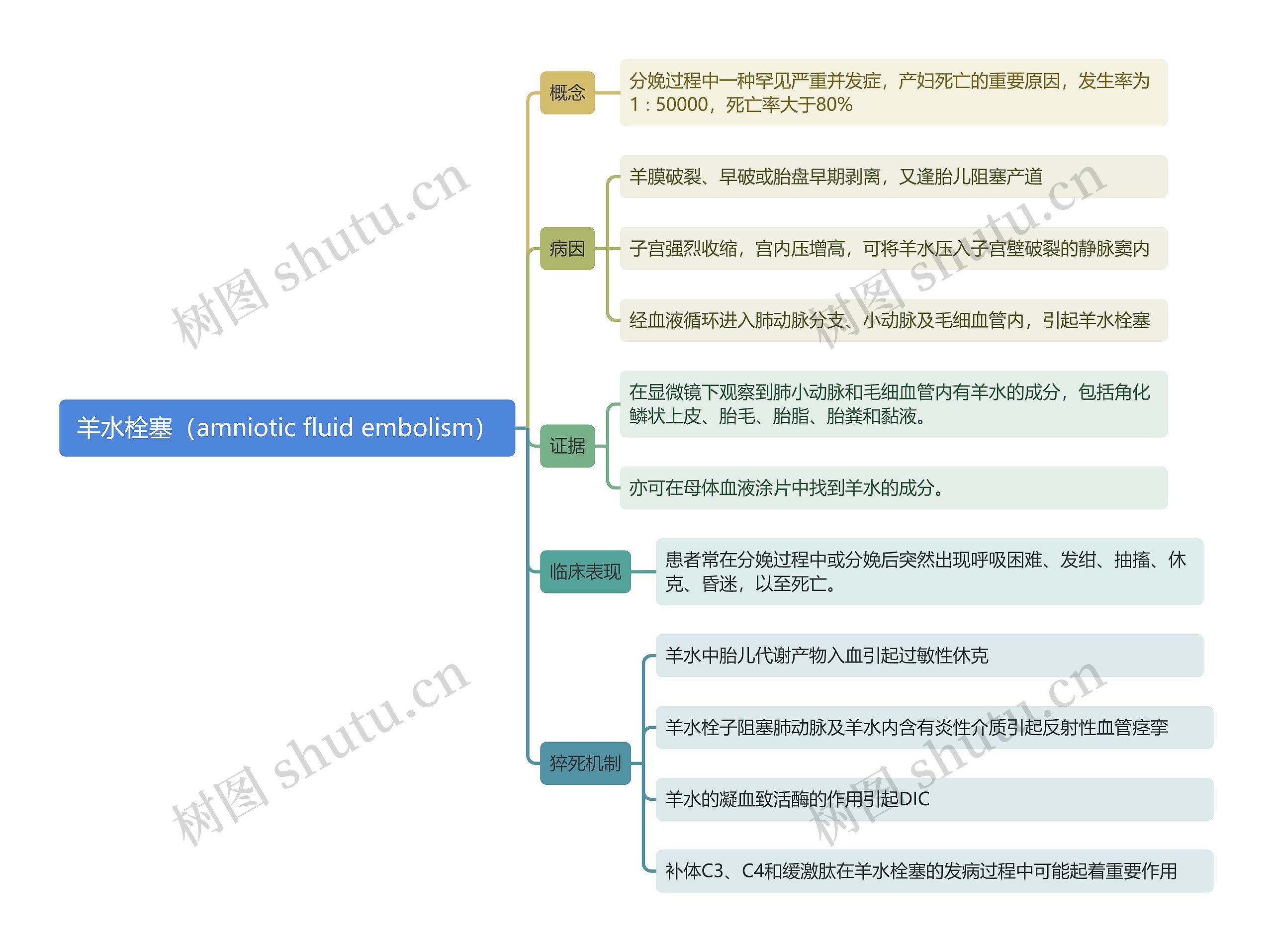 羊水栓塞（amniotic fluid embolism）思维导图