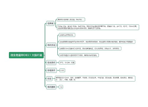 微生物菌种DB3.1 大肠杆菌思维导图