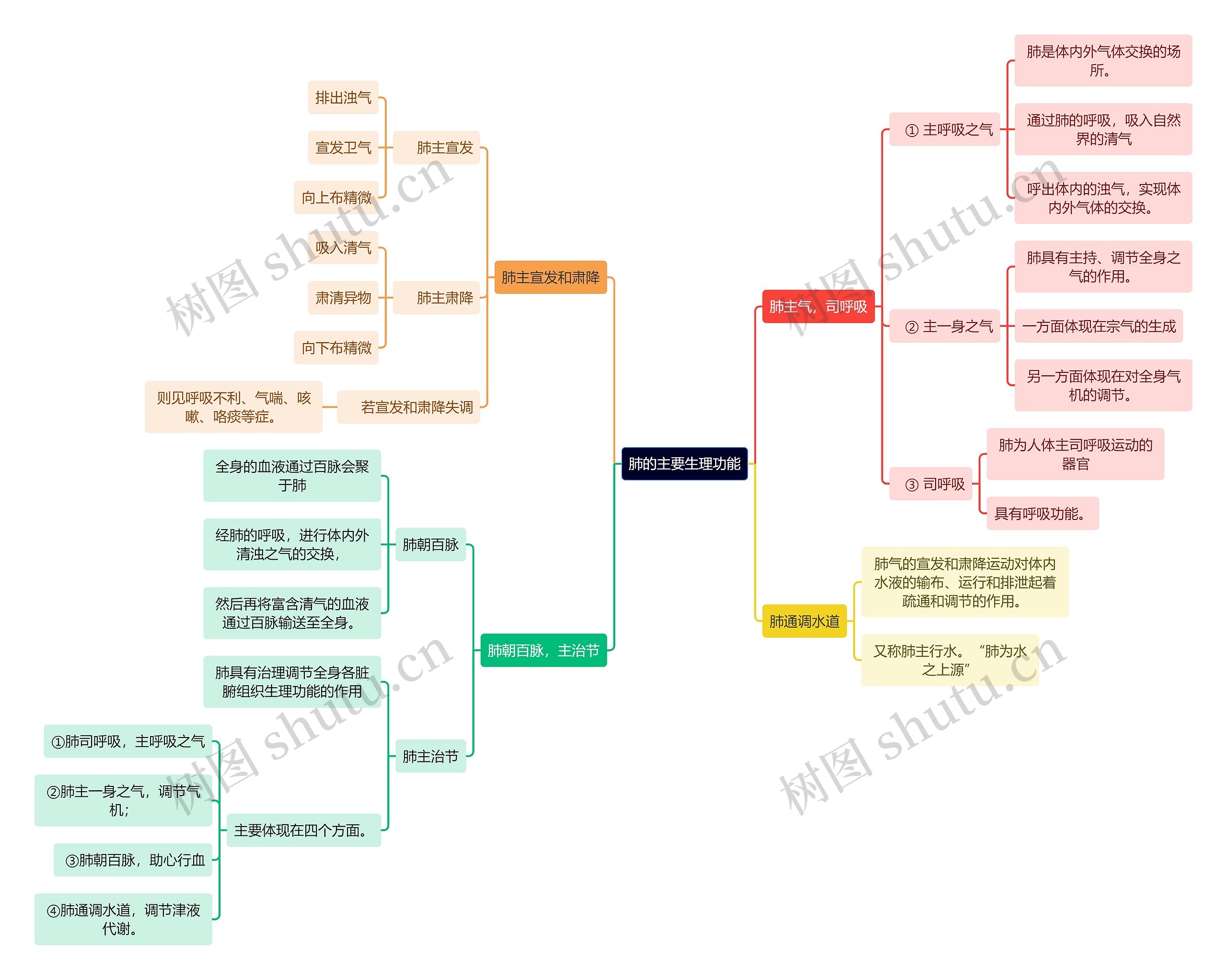 中医知识肺的主要生理功能思维导图
