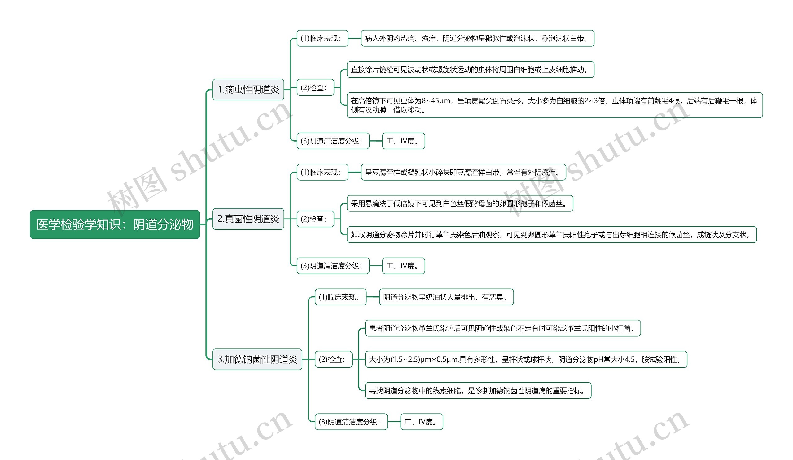 医学检验学知识：阴道分泌物思维导图