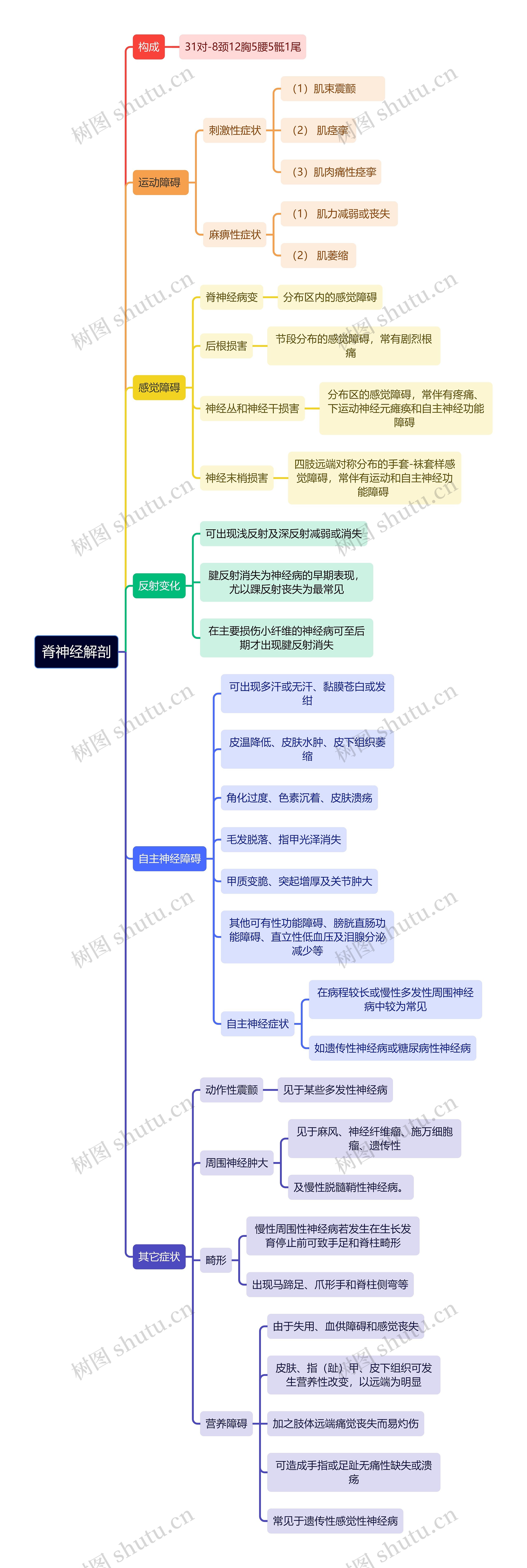 解剖学知识脊神经解剖思维导图高清图 解剖学知识脊神经解剖思维导图