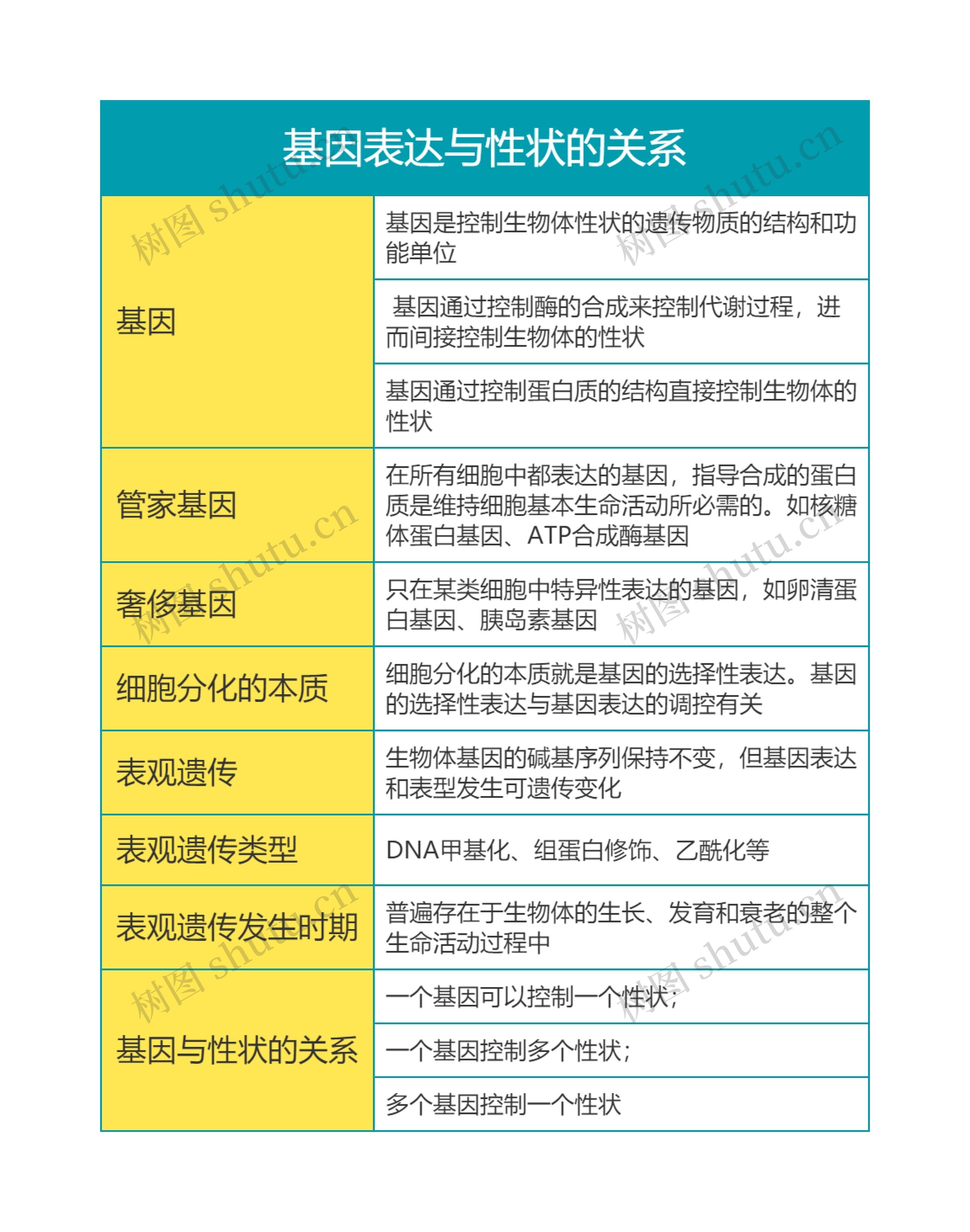 高中生物必修二第四单元基因表达与性状的关系思维导图