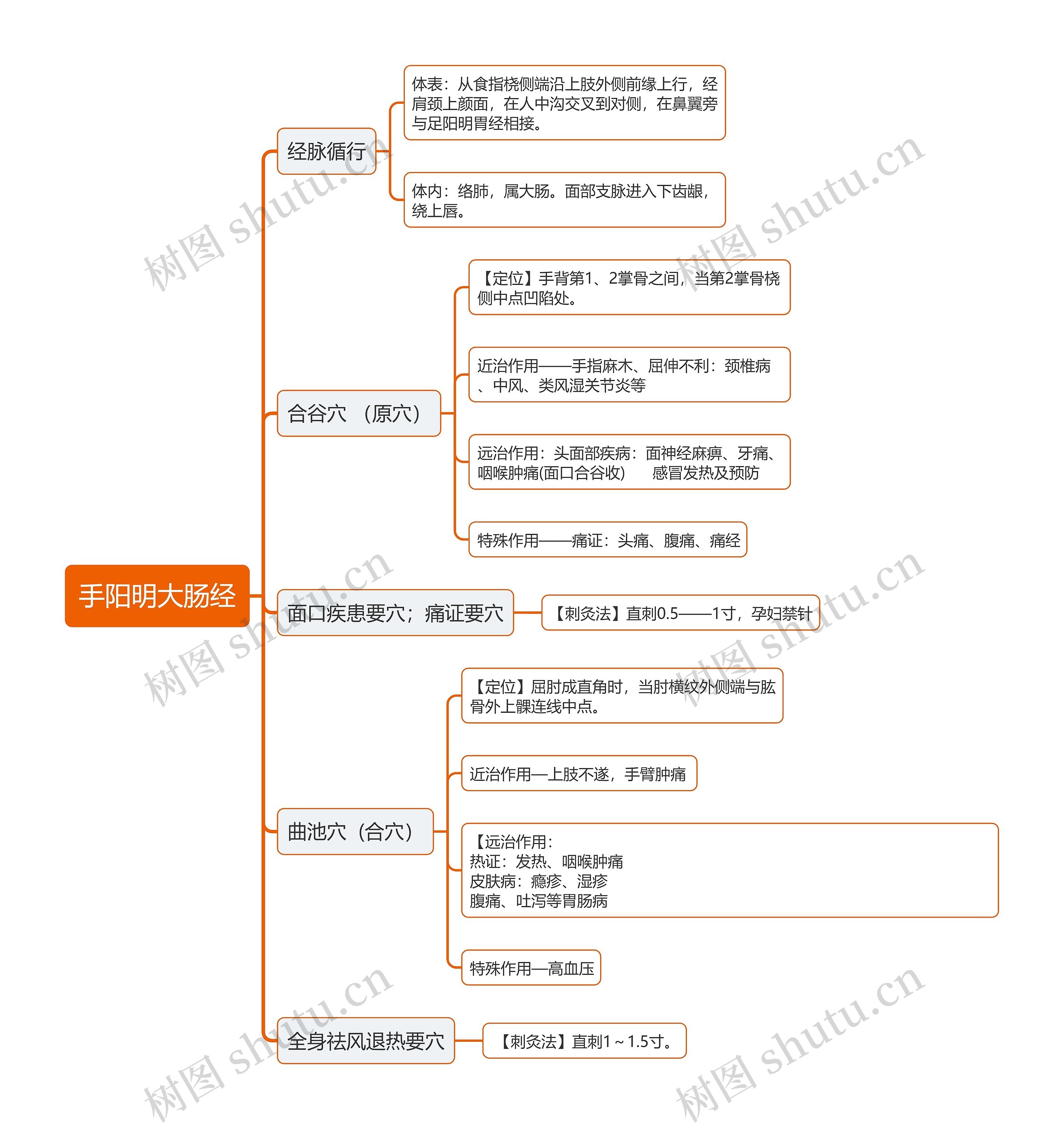 手阳明大肠经思维导图