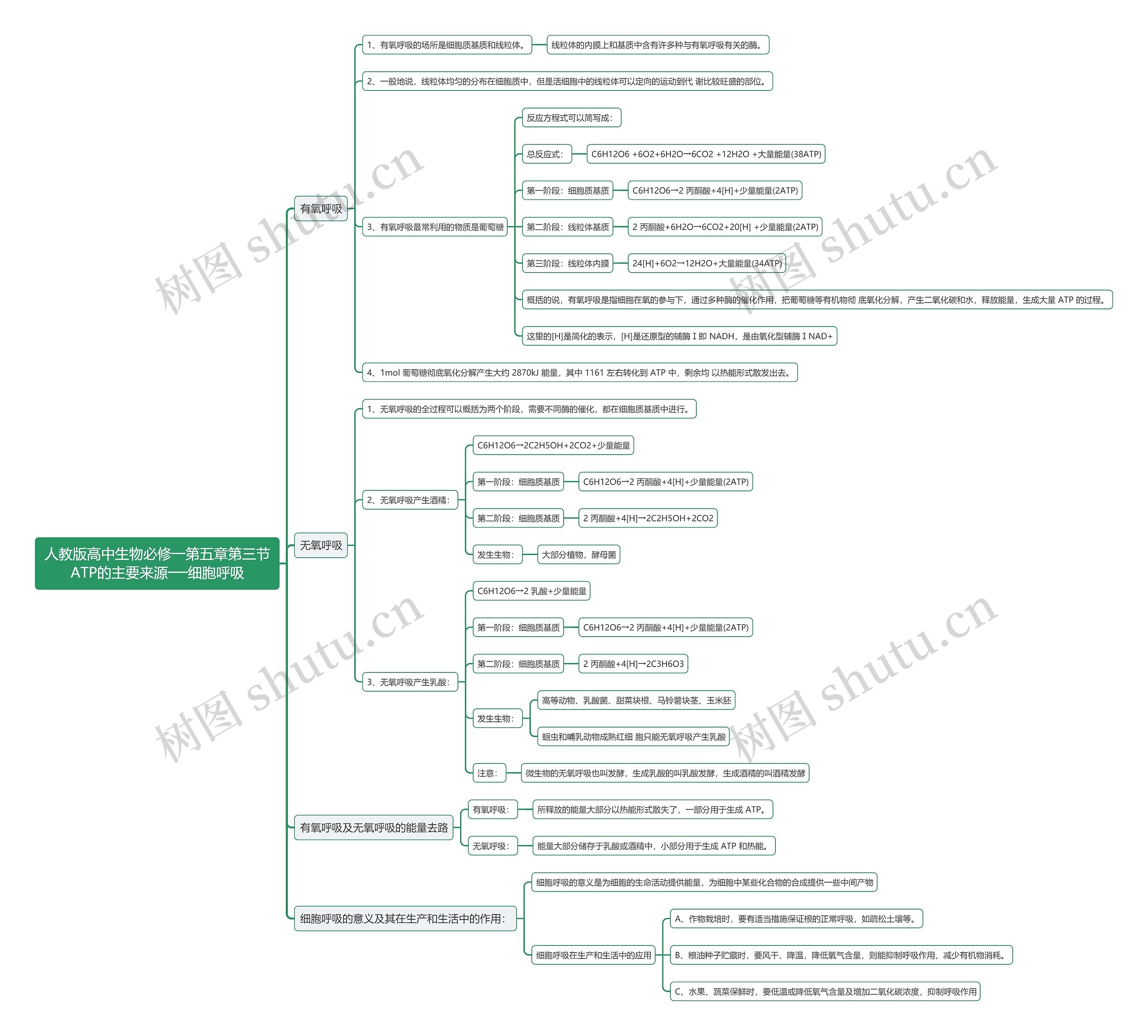 人教版高中生物必修一第五章第三节ATP的主要来源──细胞呼吸思维导图