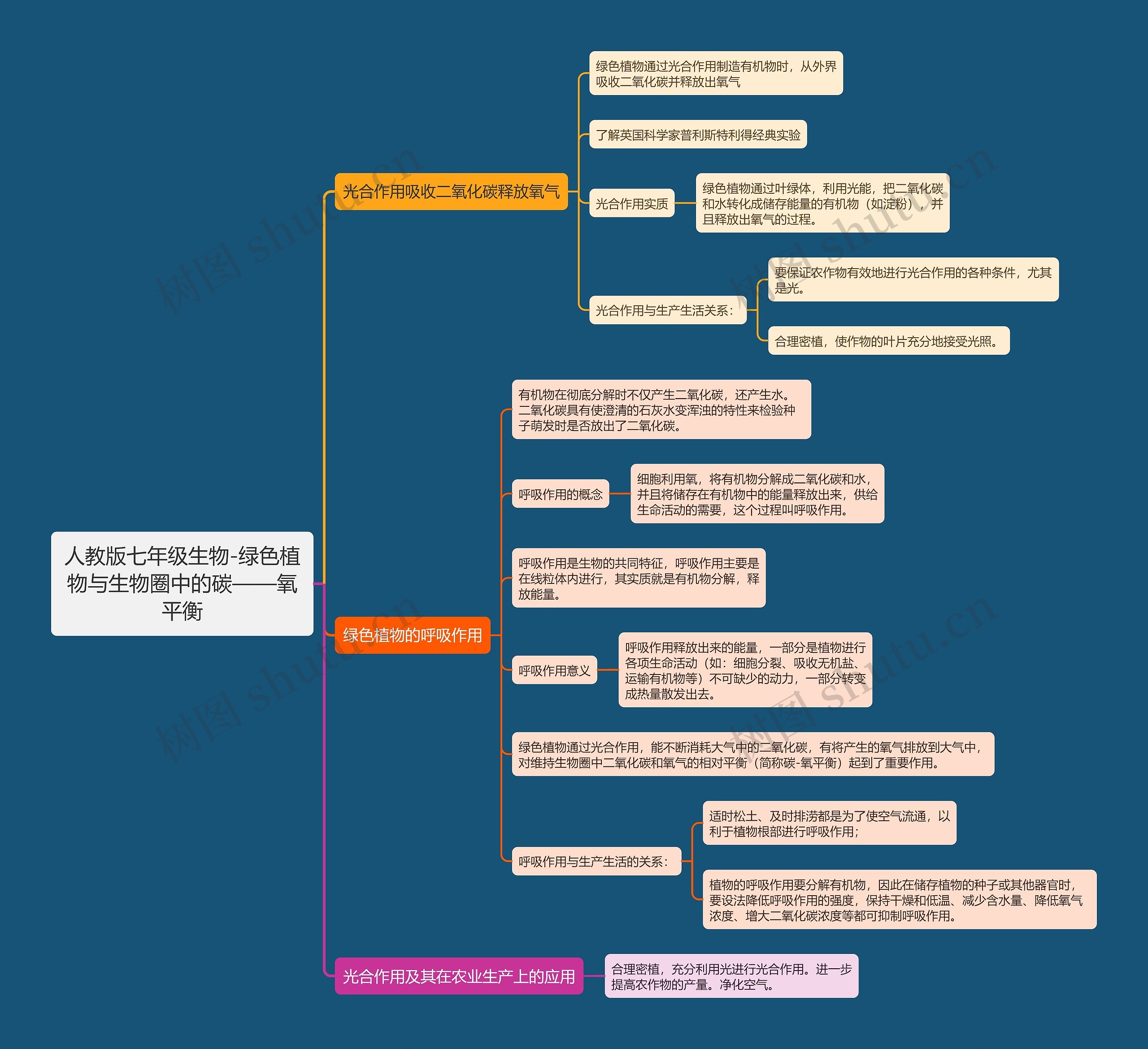 人教版七年级生物-绿色植物与生物圈中的碳——氧平衡思维导图