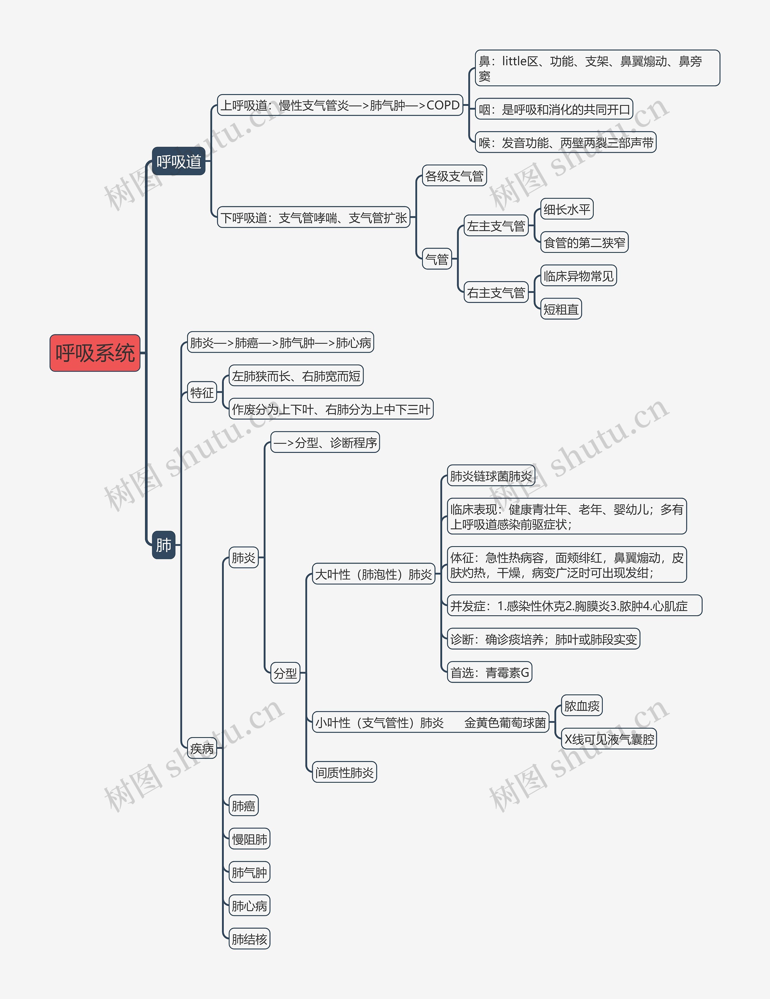 《呼吸系统》思维导图