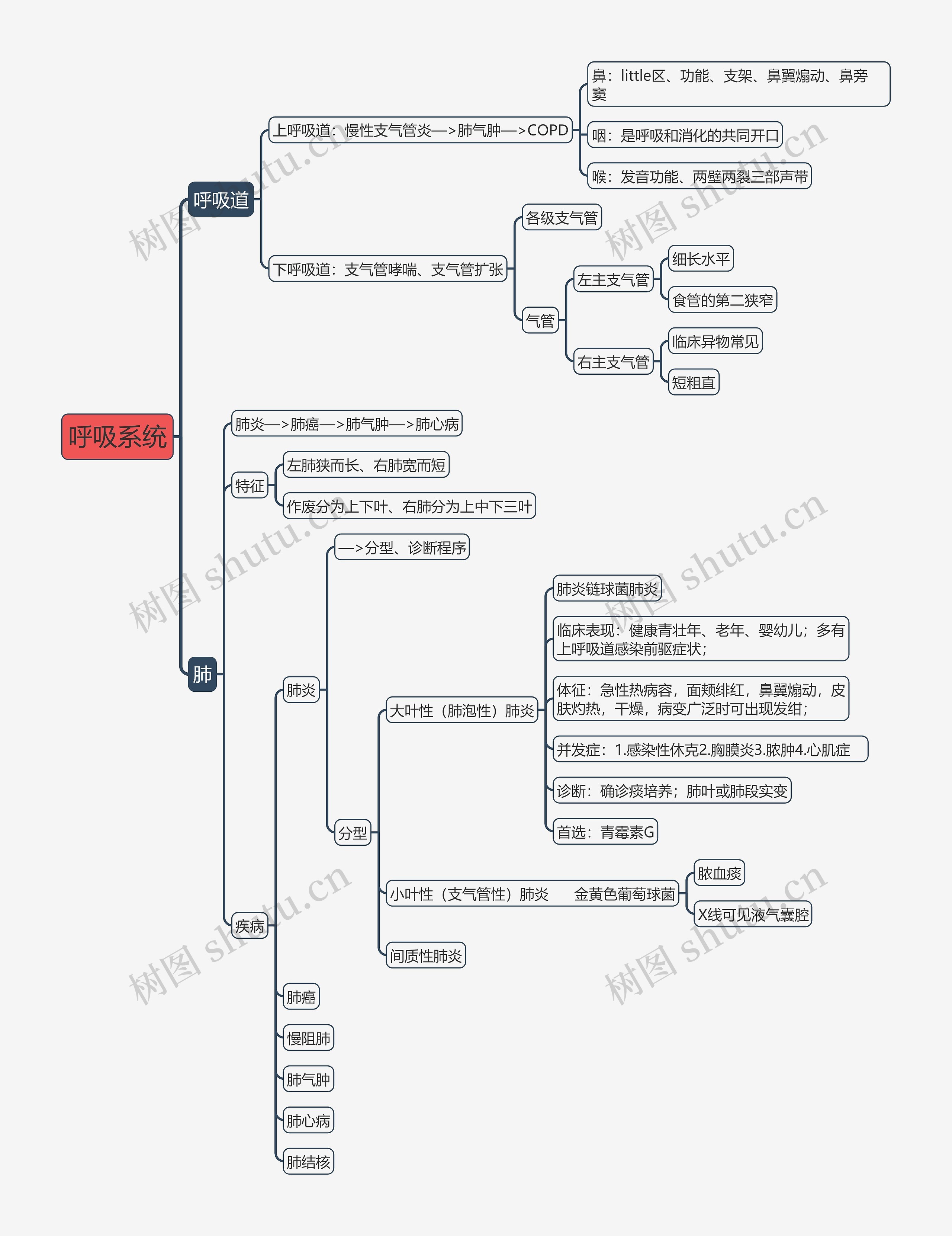 《呼吸系统》思维导图高清图 《呼吸系统》思维导图