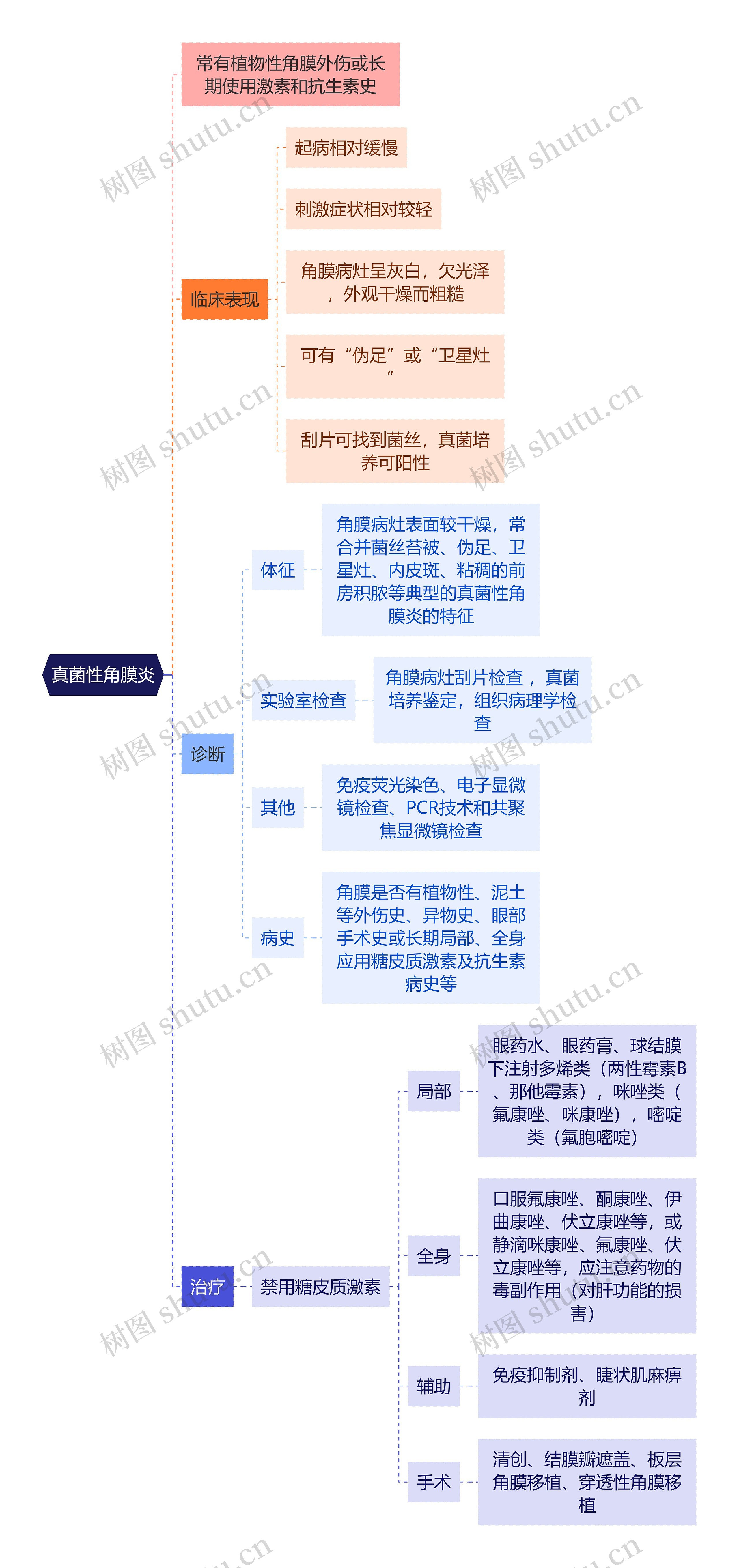 医学知识真菌性角膜炎思维导图