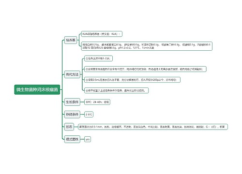 微生物菌种河床根瘤菌思维导图
