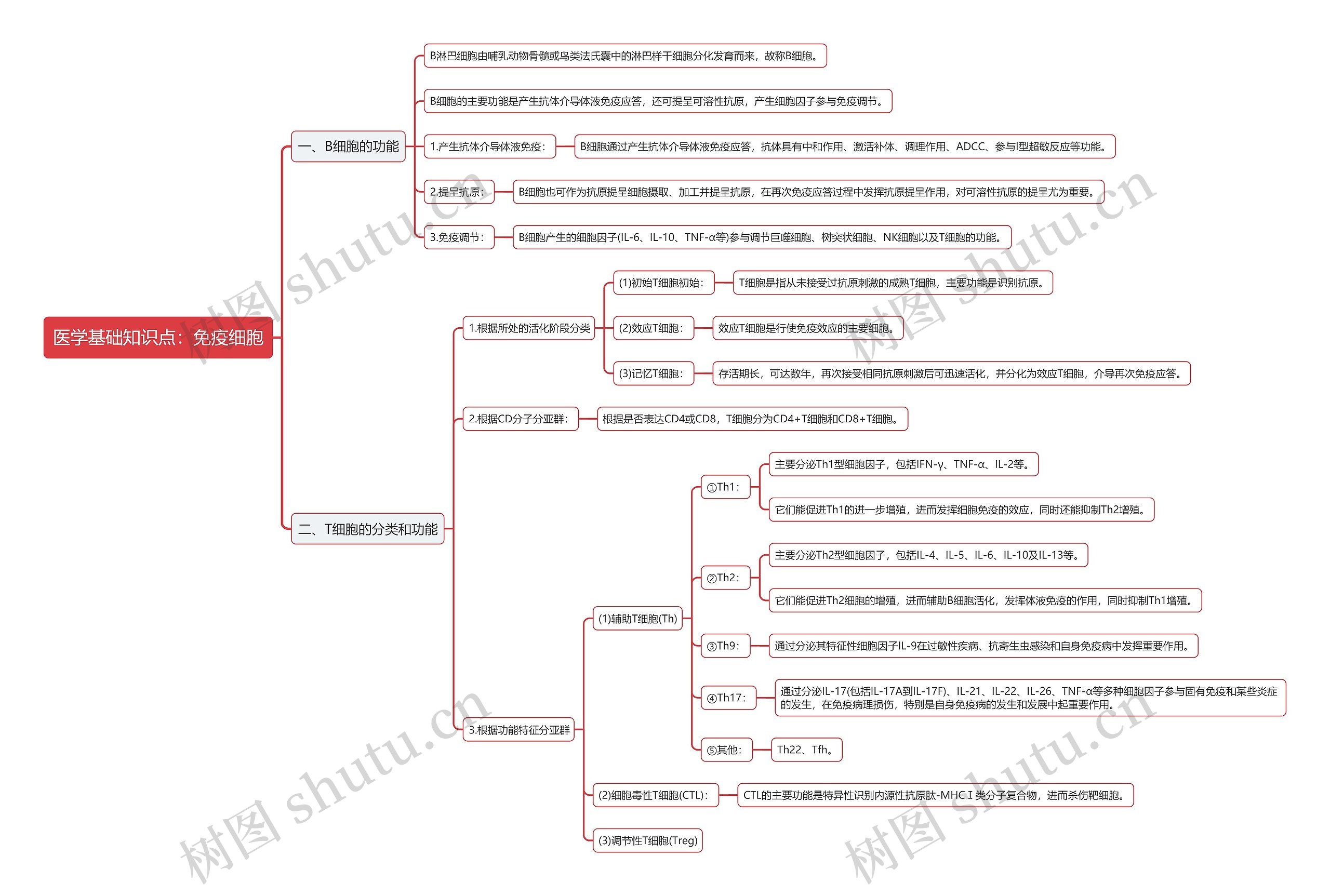 医学基础知识点：免疫细胞思维导图