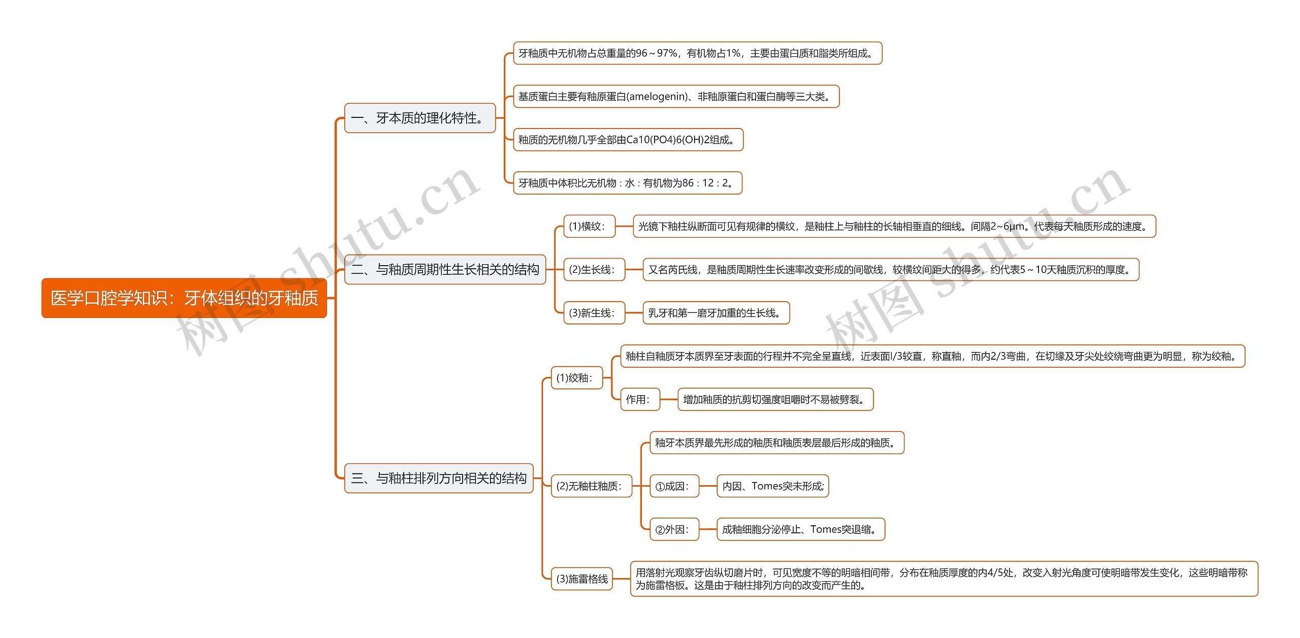 医学口腔学知识：牙体组织的牙釉质思维导图