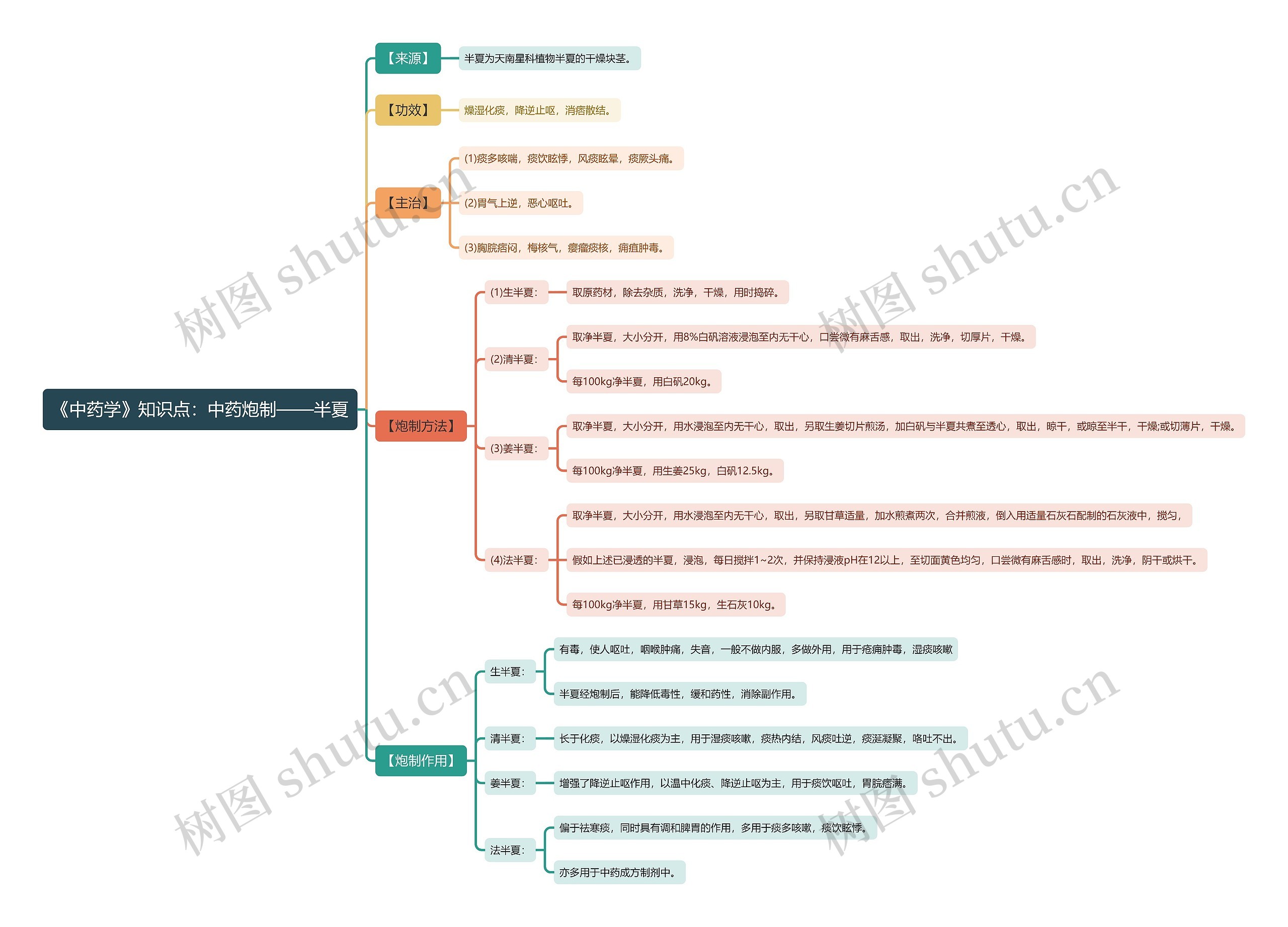 《中药学》知识点：中药炮制——半夏思维导图