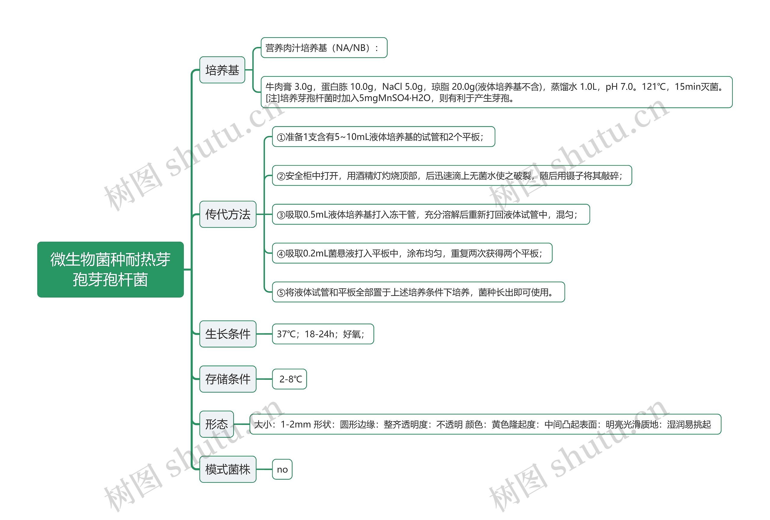 微生物菌种耐热芽孢芽孢杆菌思维导图