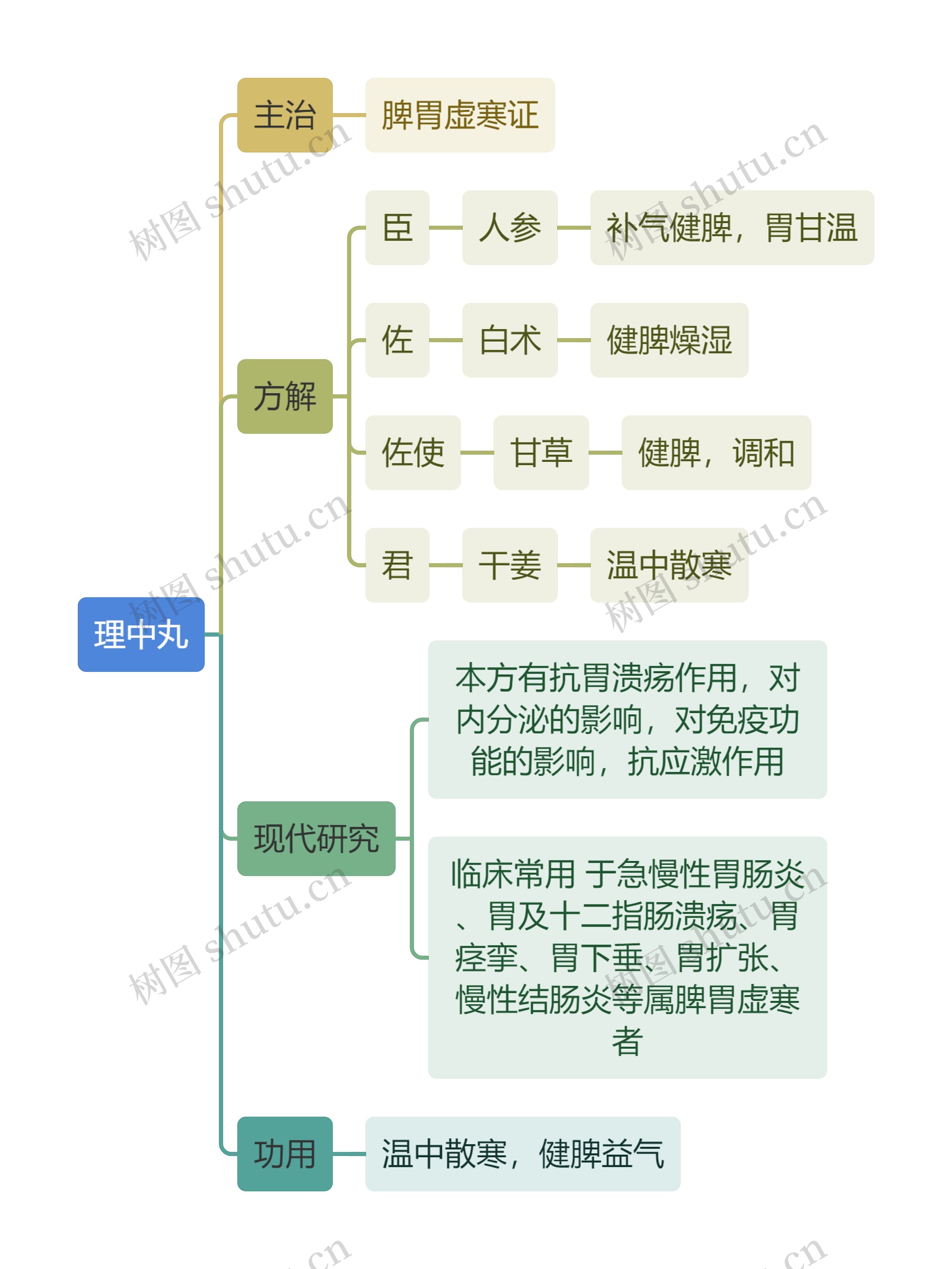 中医知识理中丸思维导图