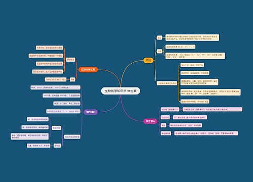 生物化学知识点 维生素
