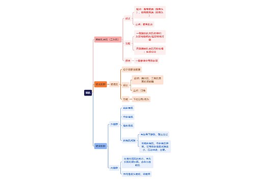 解剖学知识颈肌思维导图