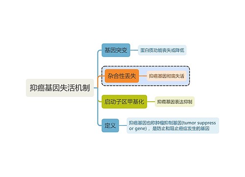 医学知识抑癌基因失活机制思维导图