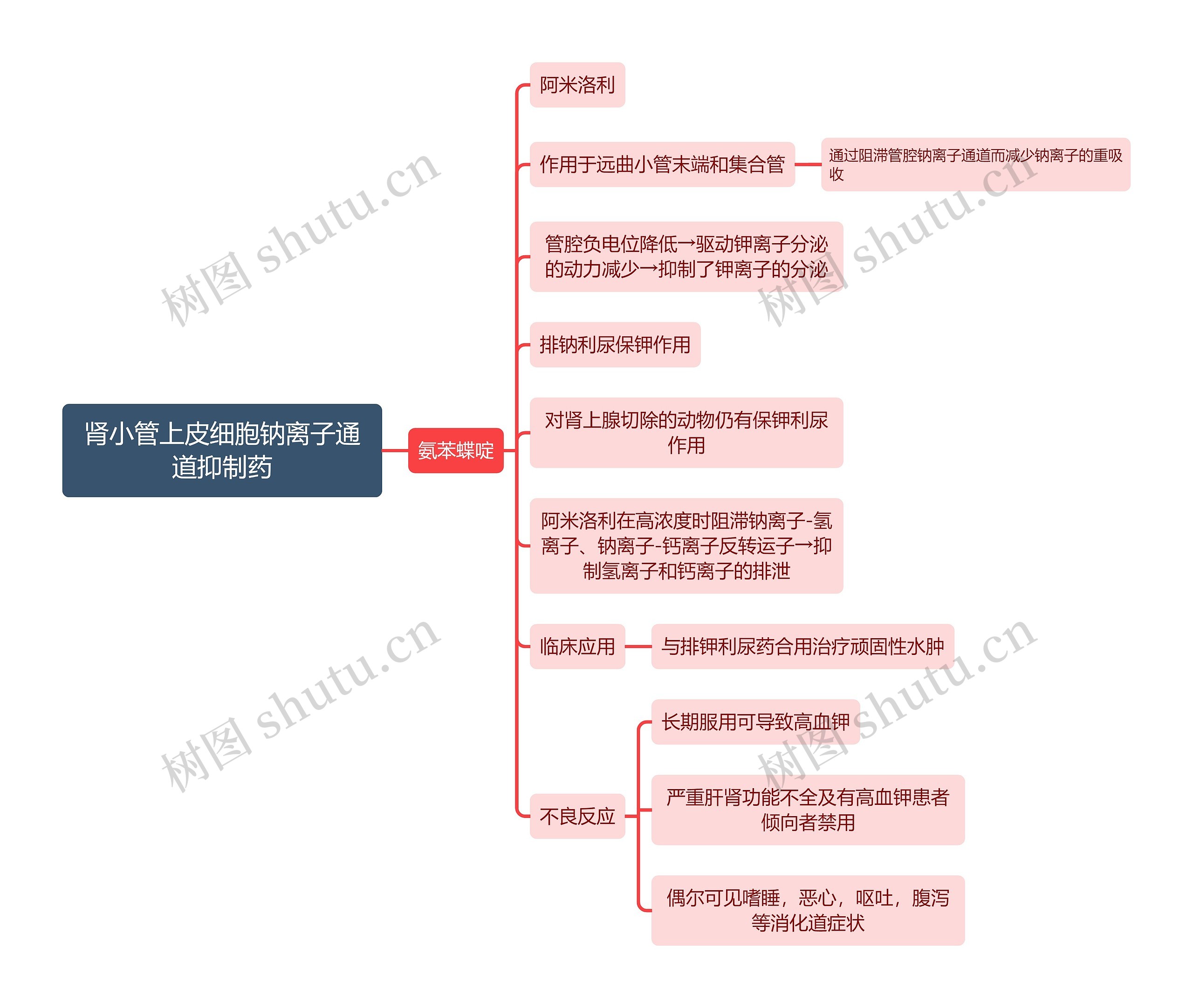医学肾小管上皮细胞钠离子通道抑制药 思维导图高清图 医学肾小管上皮细胞钠离子通道抑制药 思维导图