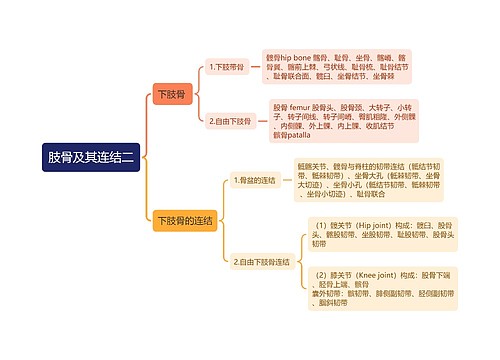 肢骨及其连结二思维导图