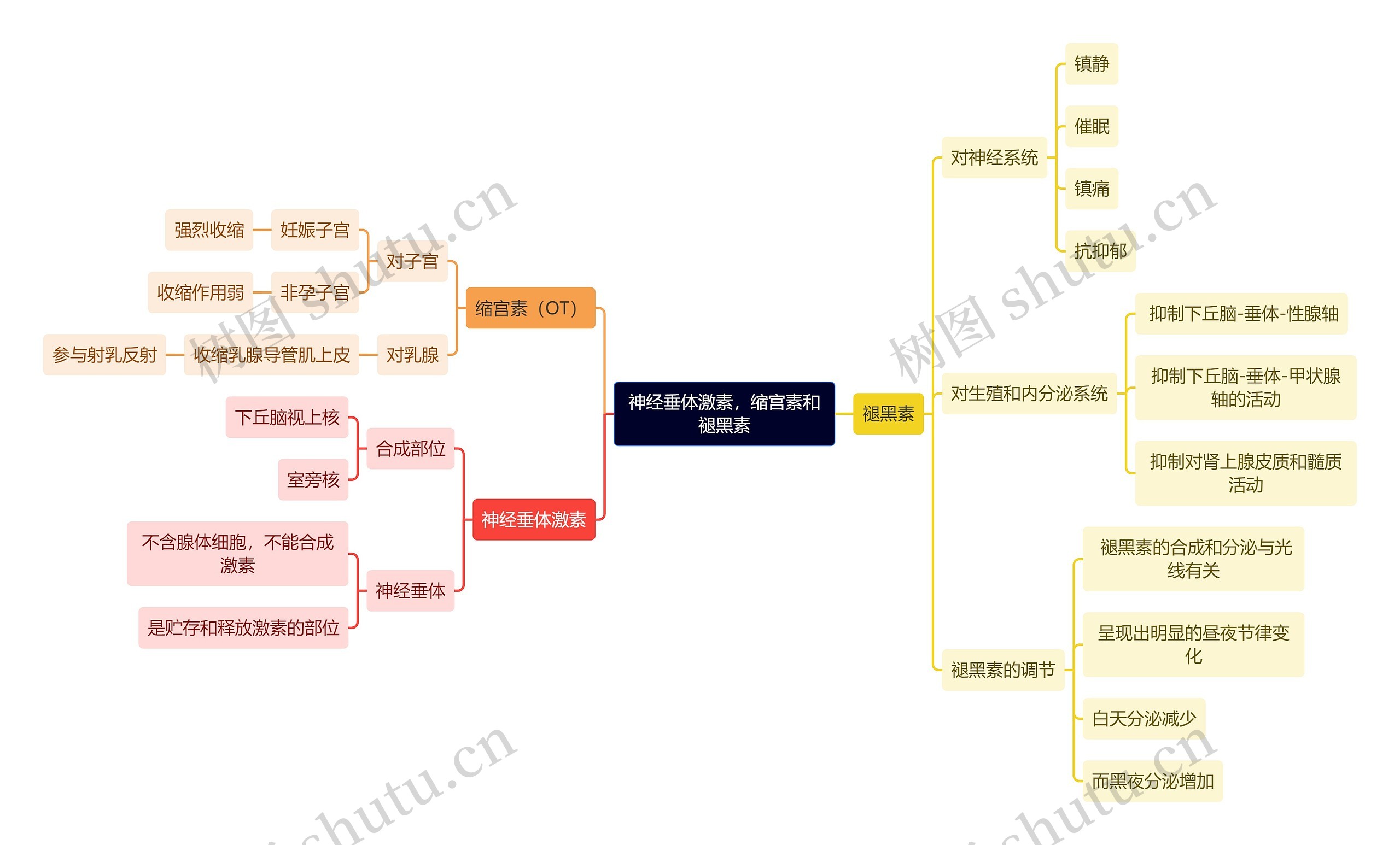医学知识神经垂体激素，缩宫素和褪黑素思维导图