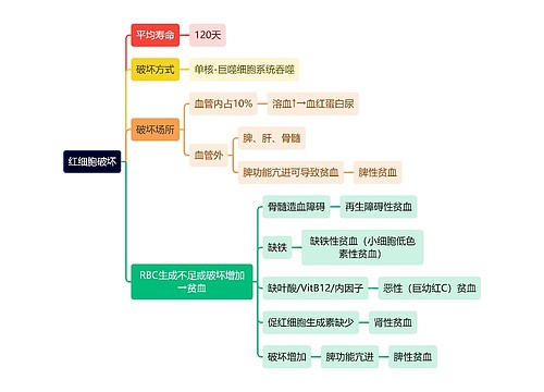 医学知识红细胞破坏思维导图