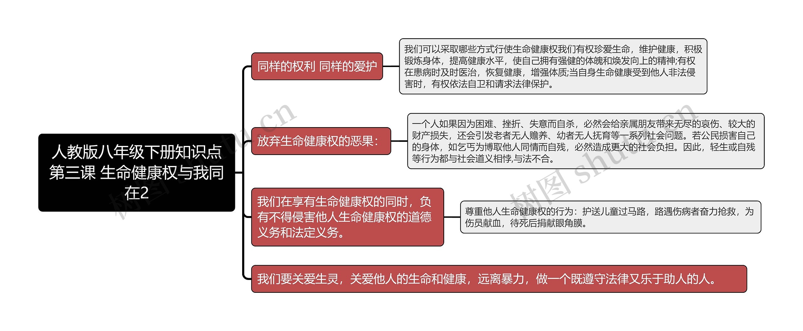 人教版八年级下册知识点第三课 生命健康权与我同在2