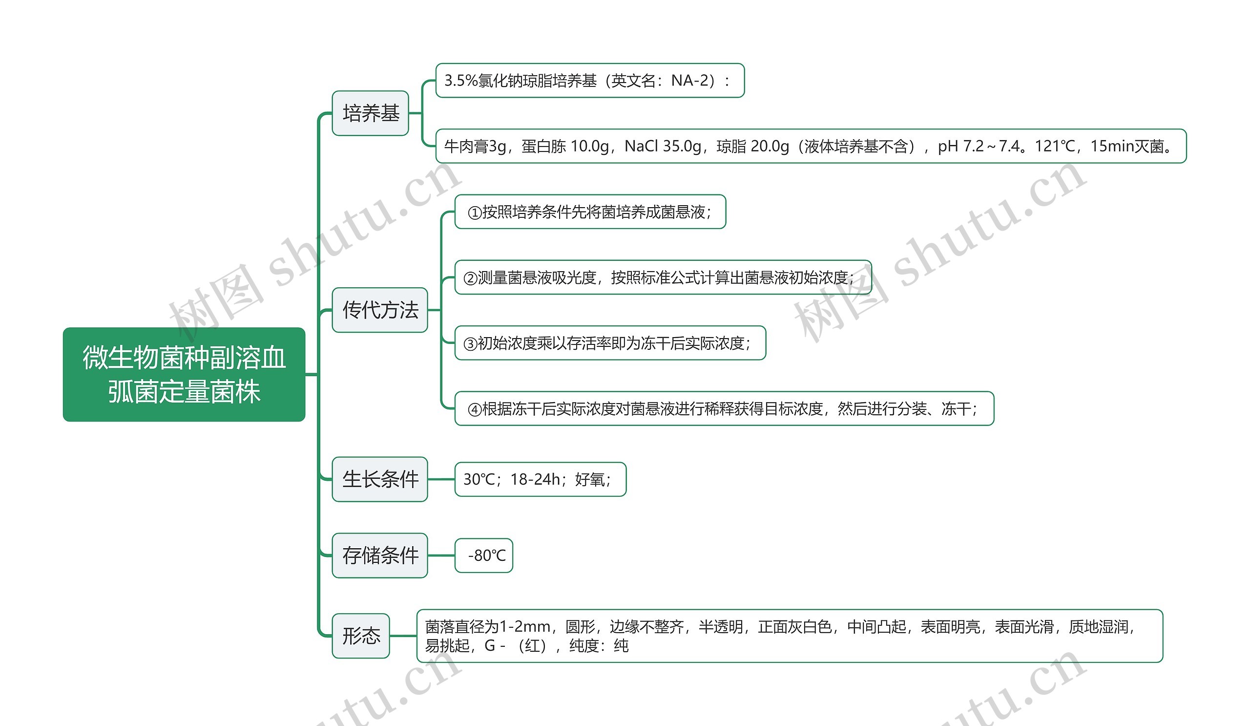 微生物菌种副溶血弧菌定量菌株思维导图