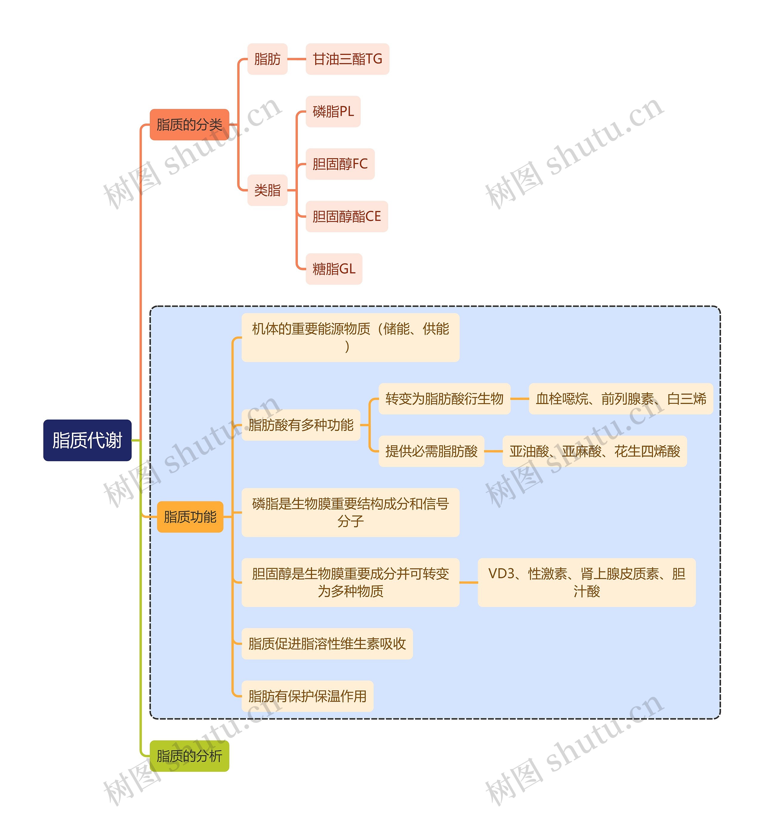 医学知识脂质代谢思维导图