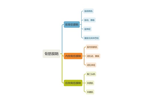 医学骨筋膜鞘思维导图