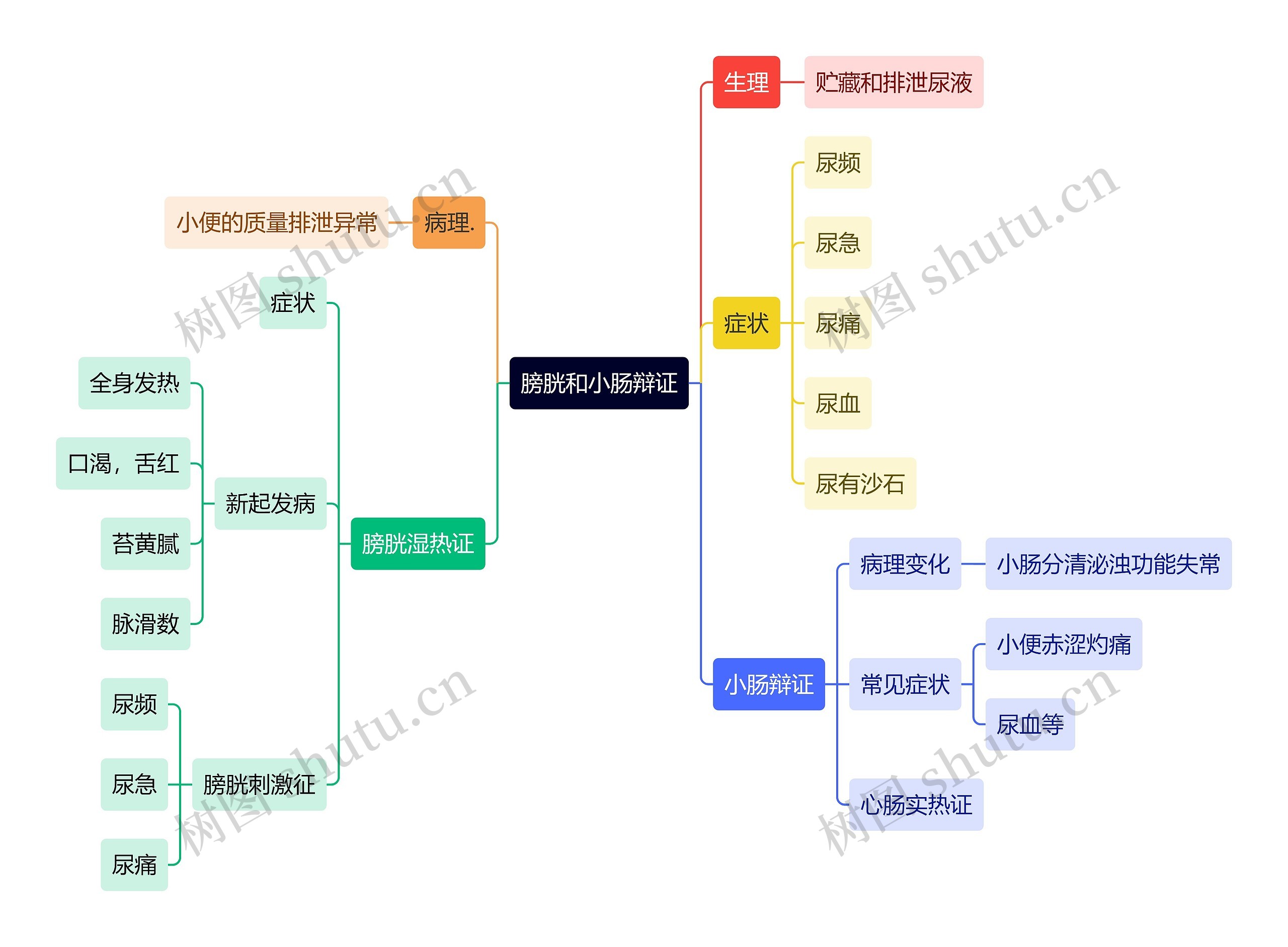 中医知识膀胱和小肠辩证思维导图