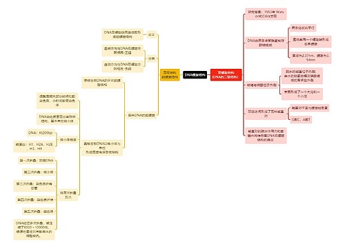 生化知识DNA螺旋结构思维导图