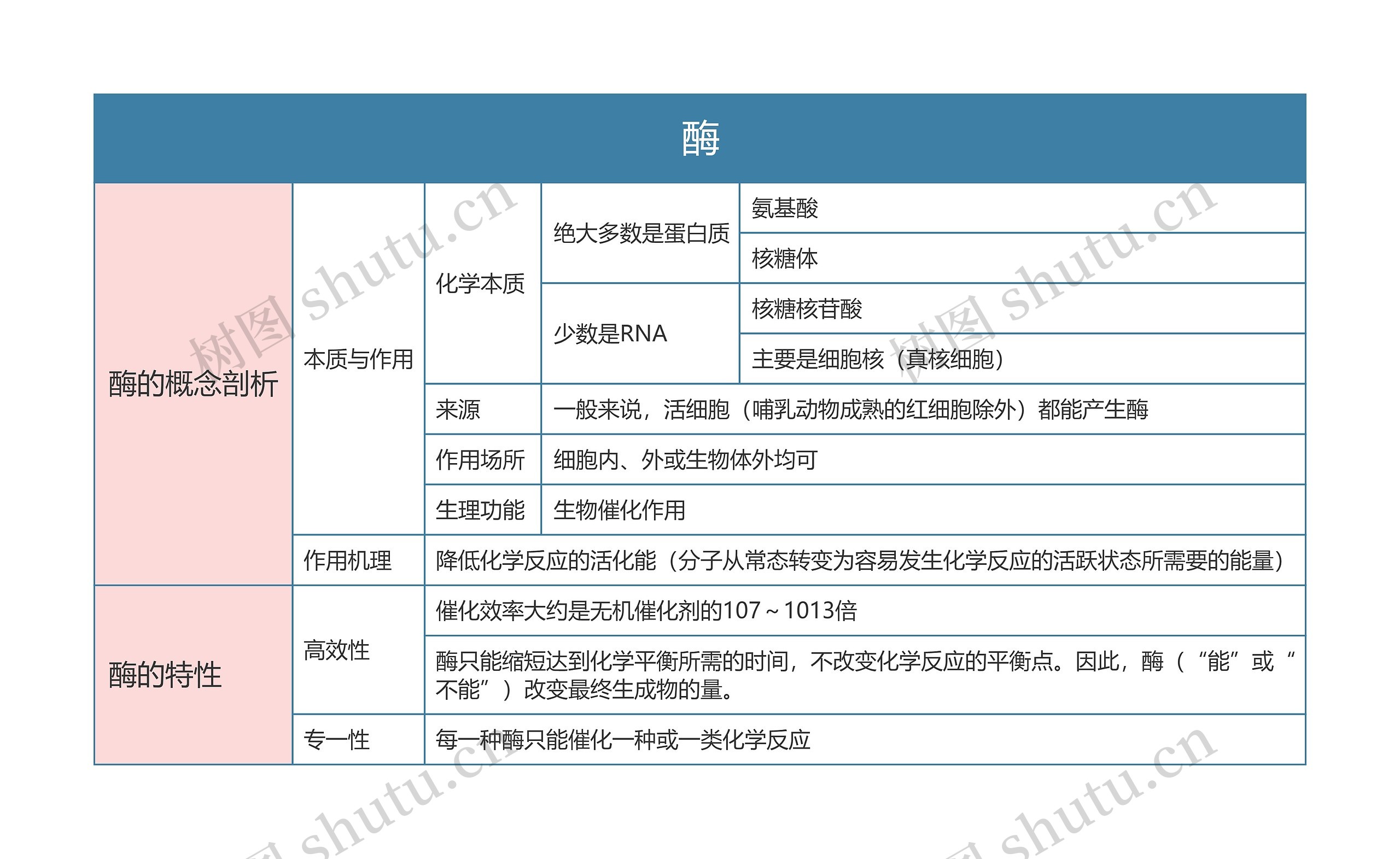 高中生物必修一酶思维导图