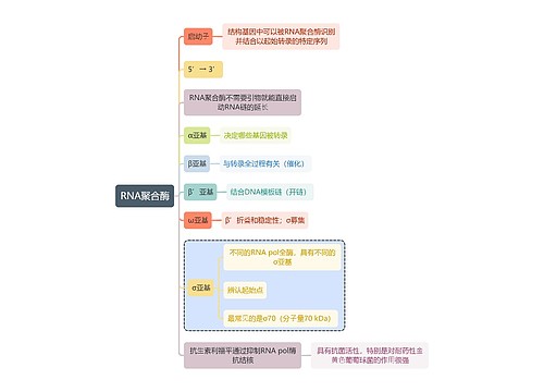 医学知识RNA聚合酶思维导图