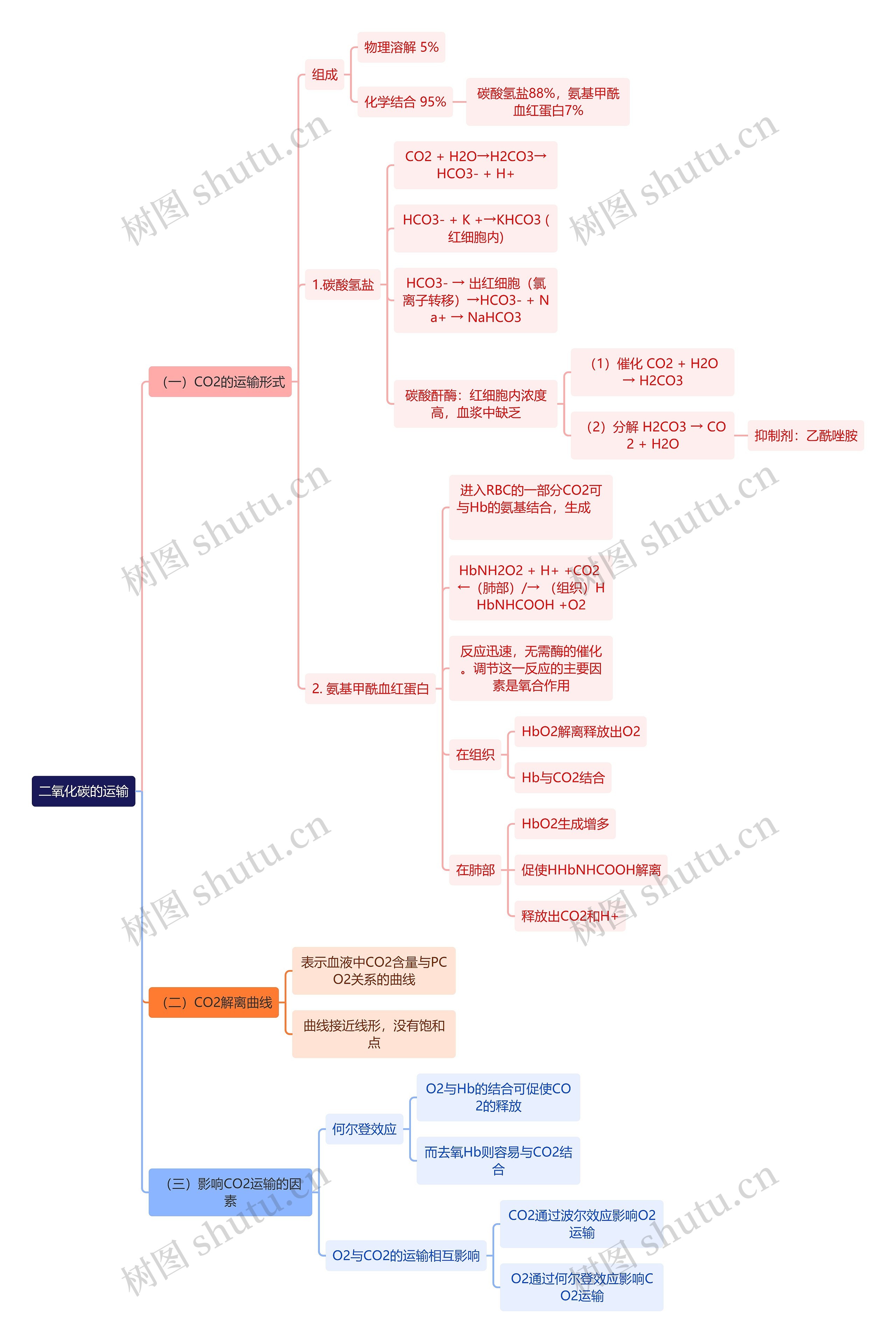 医学知识二氧化碳的运输思维导图