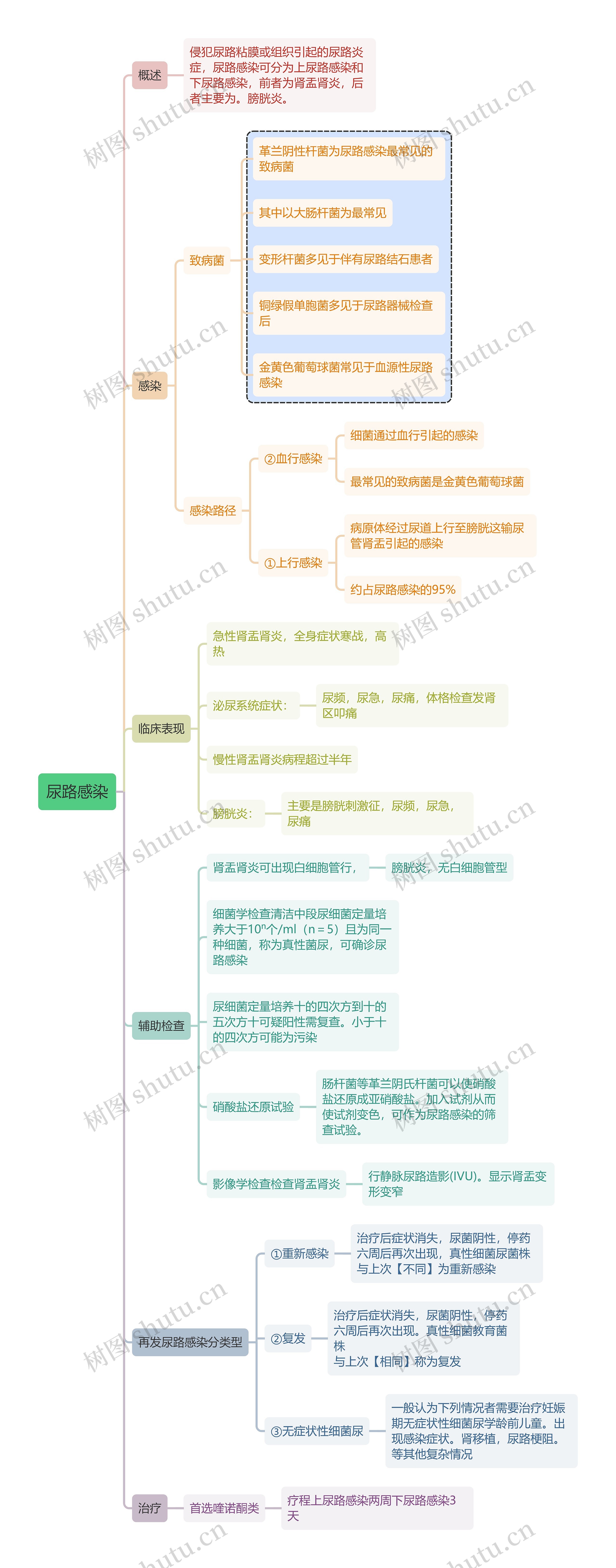 内科学知识尿路感染思维导图高清图 内科学知识尿路感染思维导图