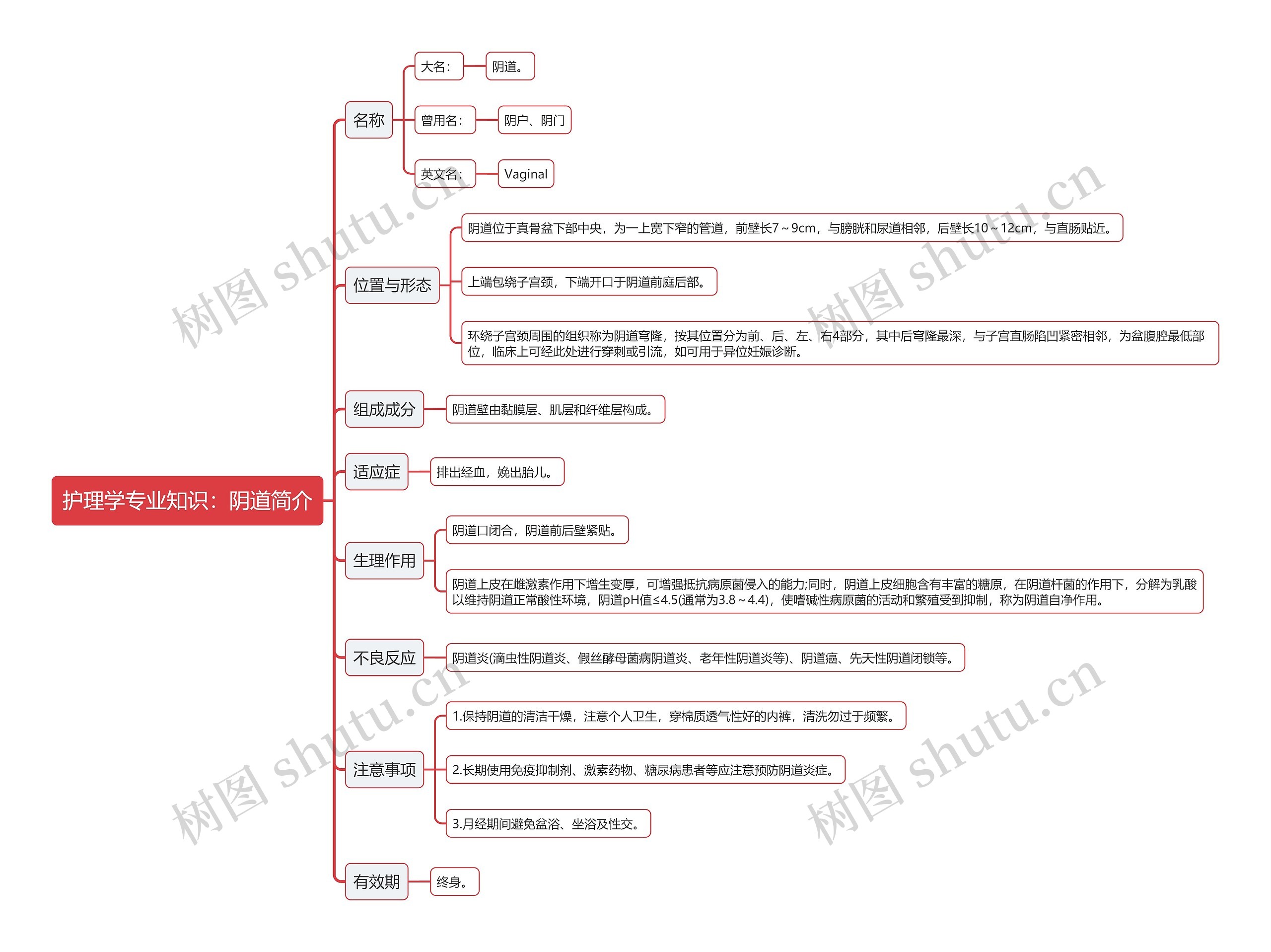 护理学专业知识：阴道简介思维导图