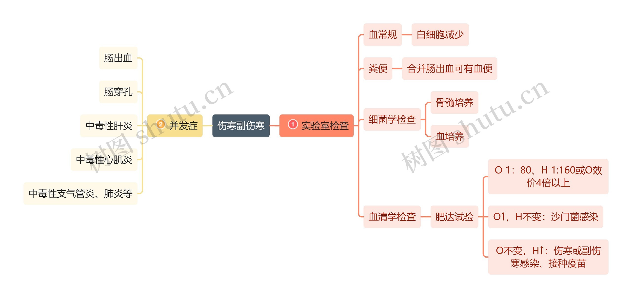 医学知识伤寒并发症与检查思维导图