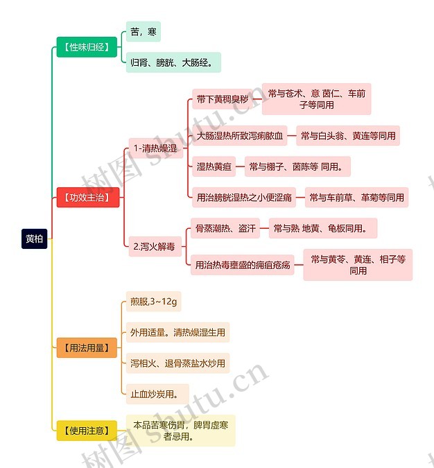 中医知识黄柏思维导图编号t6447735 Treemind树图 