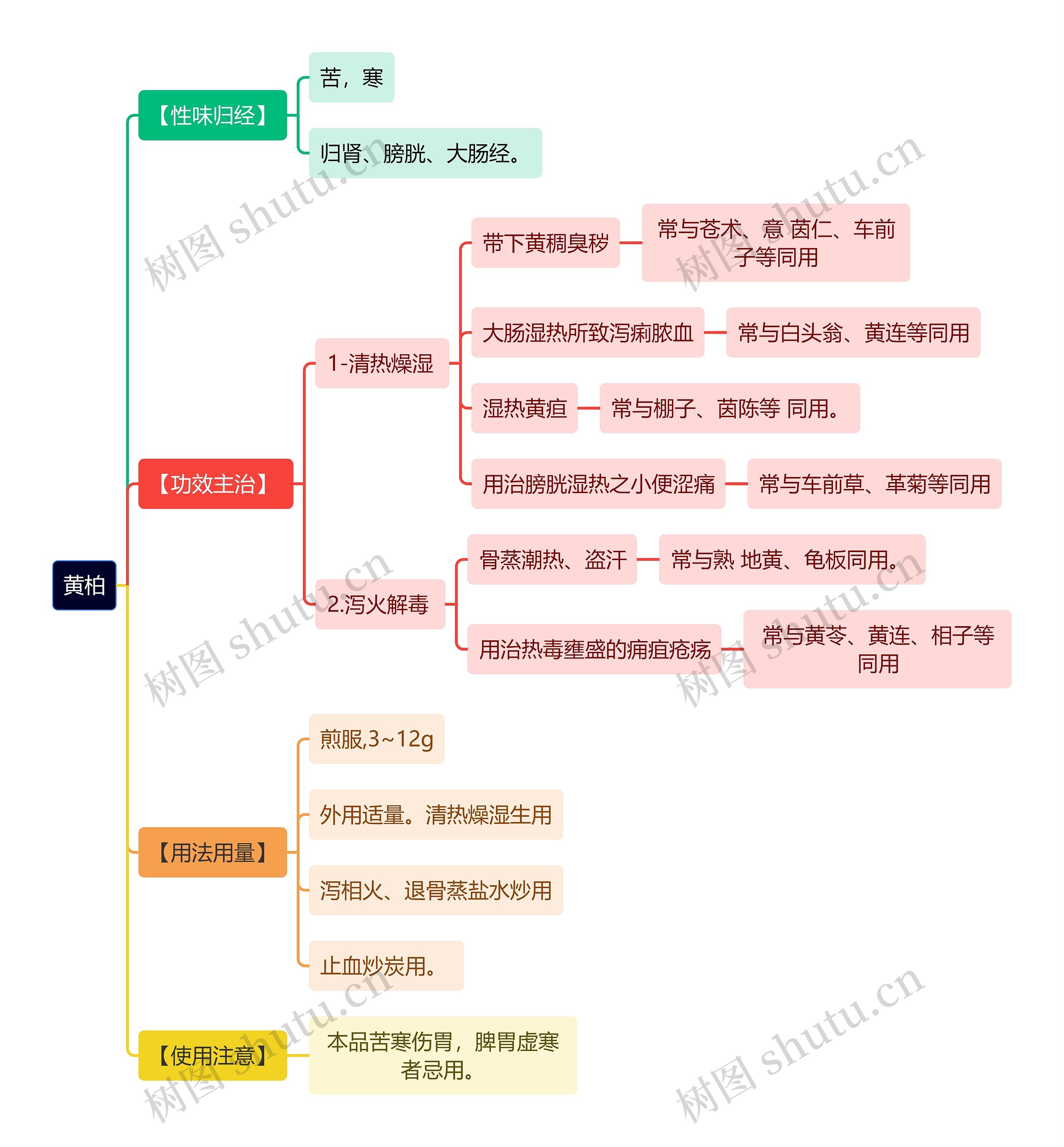 中医知识黄柏思维导图