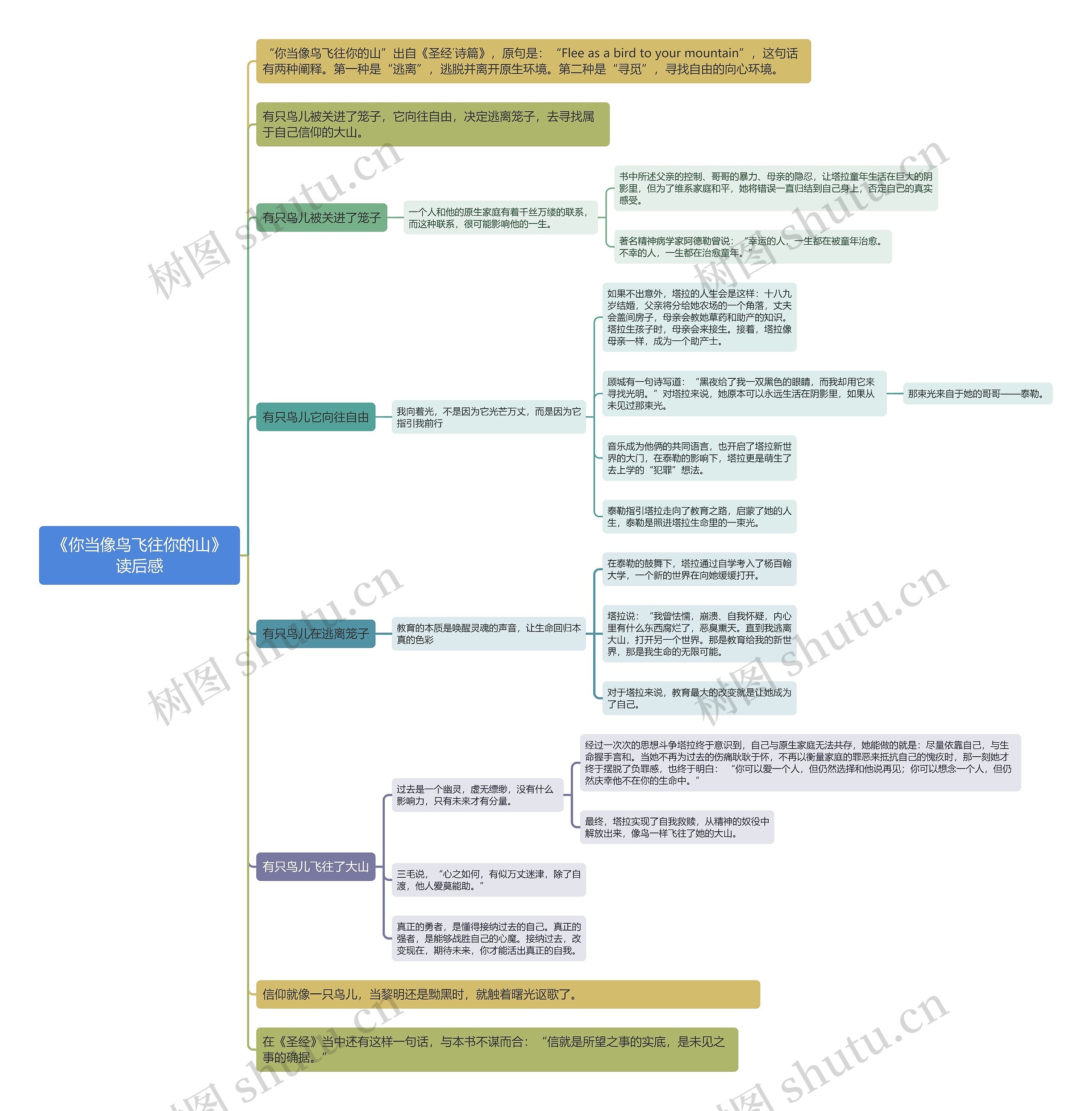 《你当像鸟飞往你的山》读后感思维导图