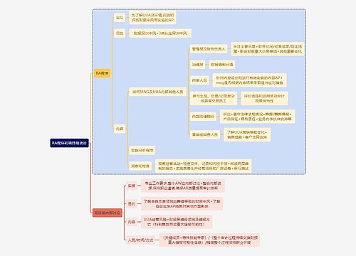 财务知识审计RA程序和项目组谈论思维导图