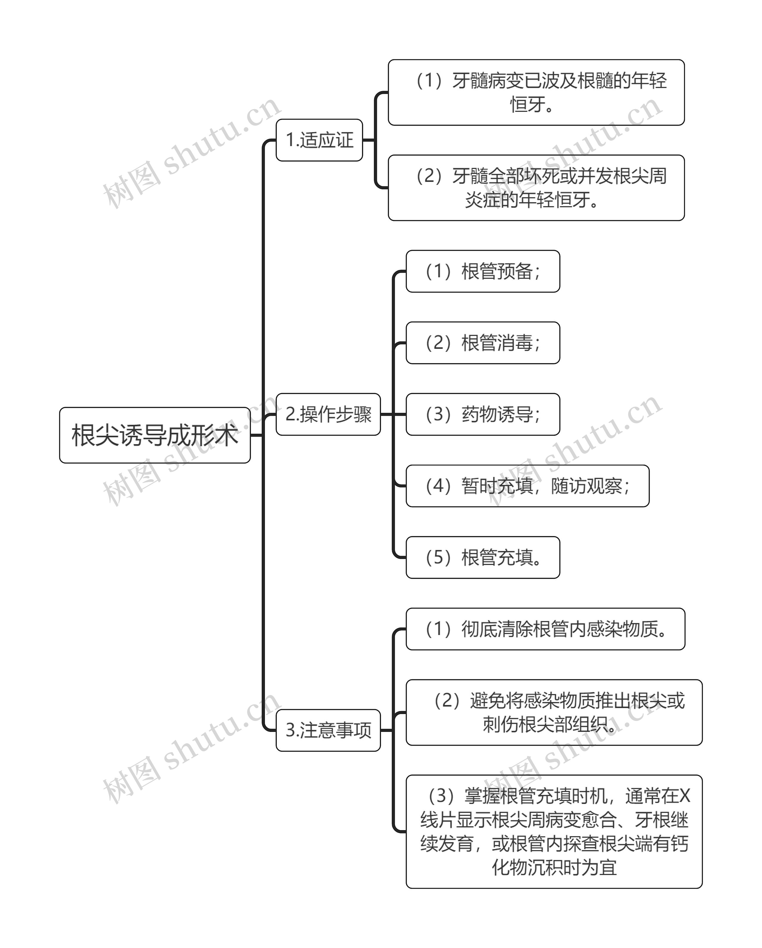 医学知识根尖诱导成形术思维导图