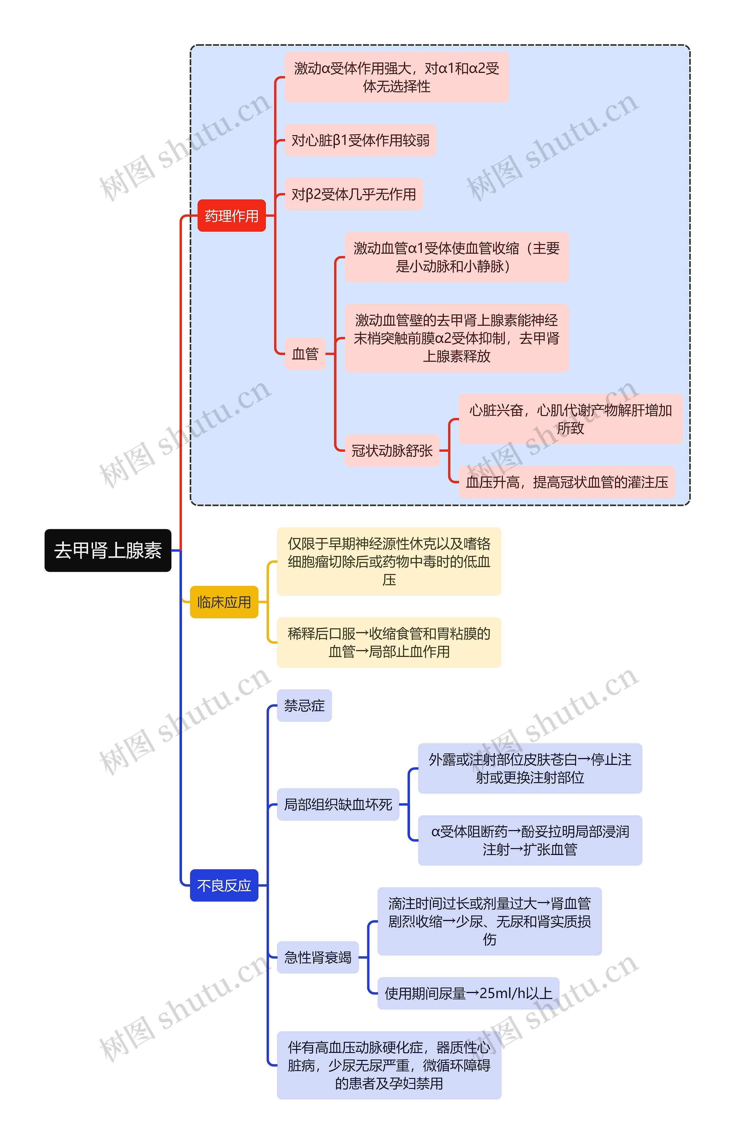 医学去甲肾上腺素思维导图