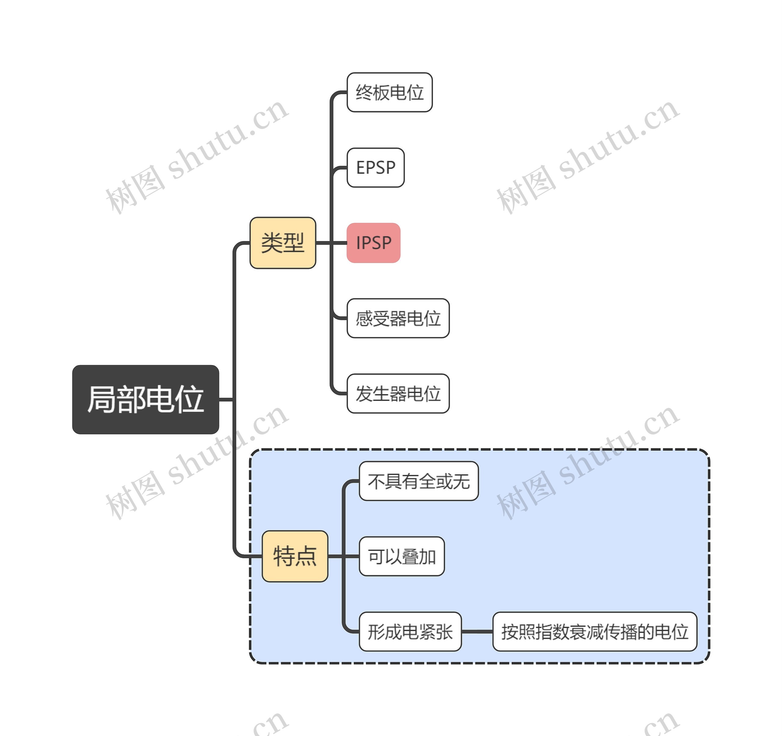 医学知识局部电位思维导图